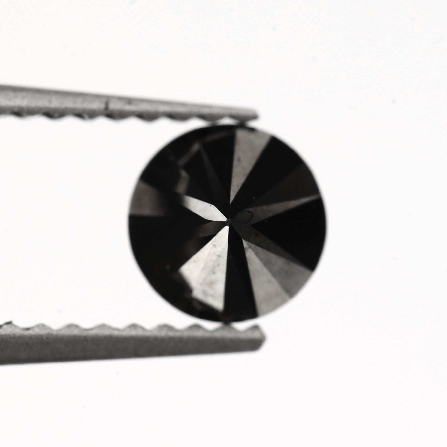 ClariOLED Transparent OLED Display price