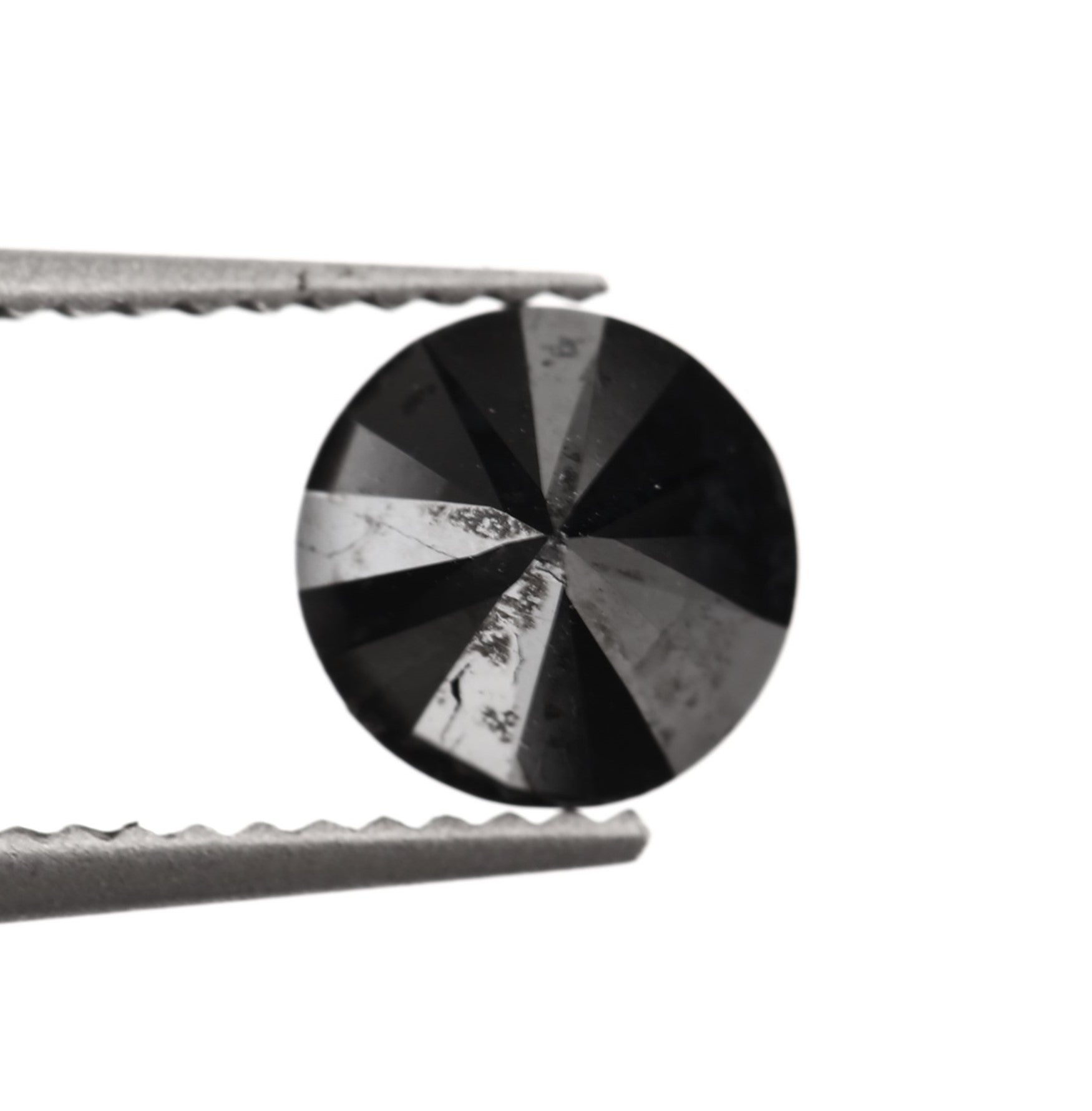 ClariOLED Transparent OLED Display price