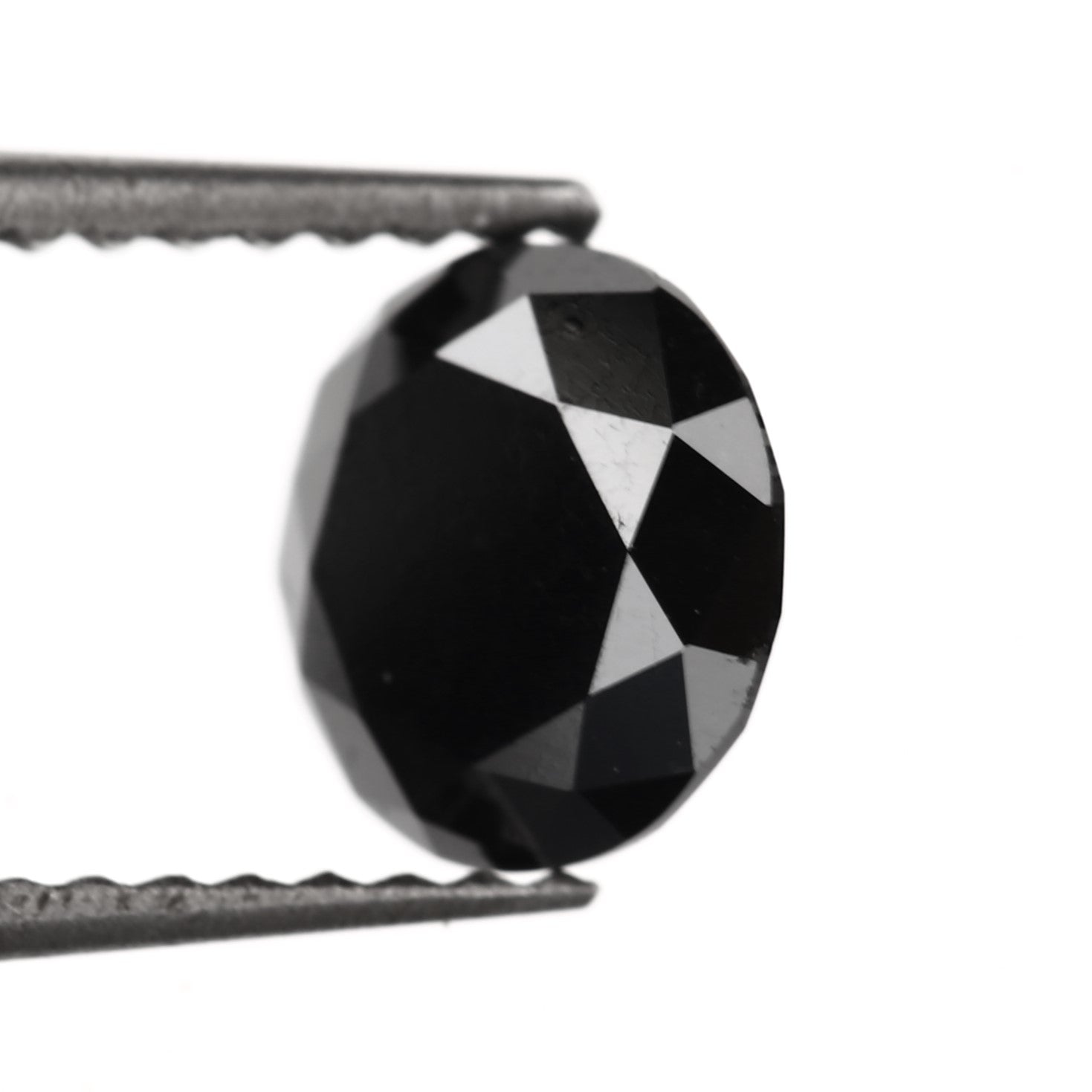 ClariOLED Transparent OLED Display price