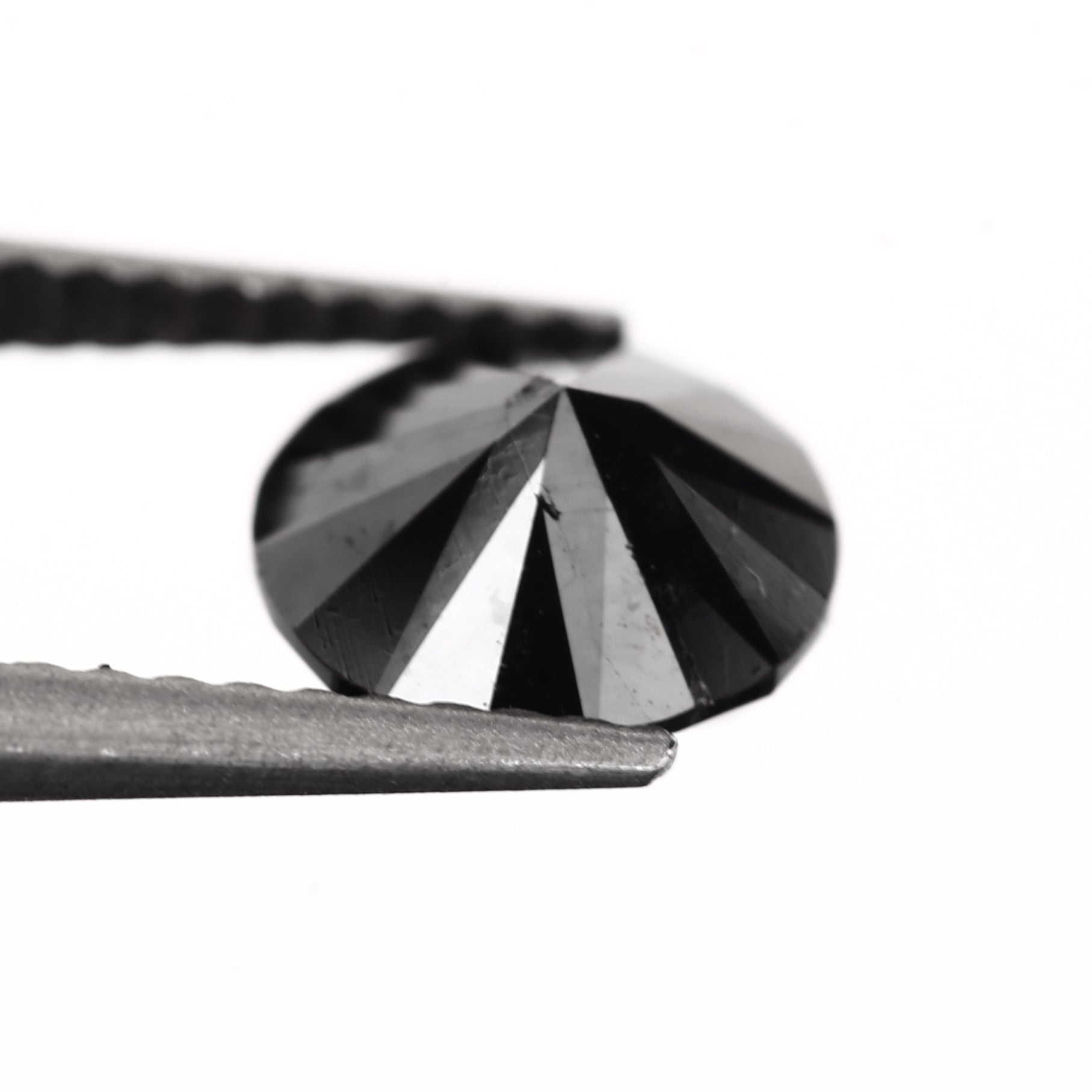 ClariOLED Transparent OLED Display price