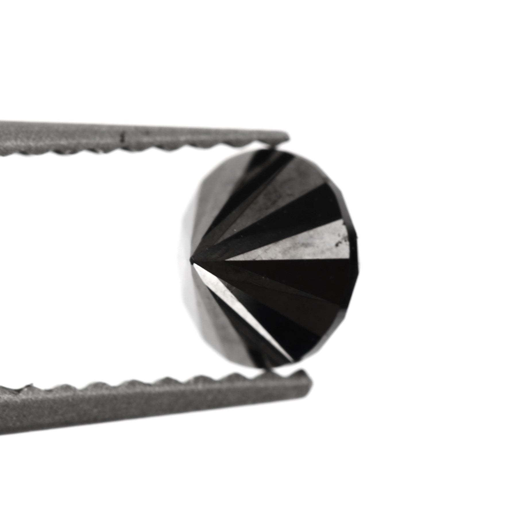 ClariOLED Transparent OLED Display price