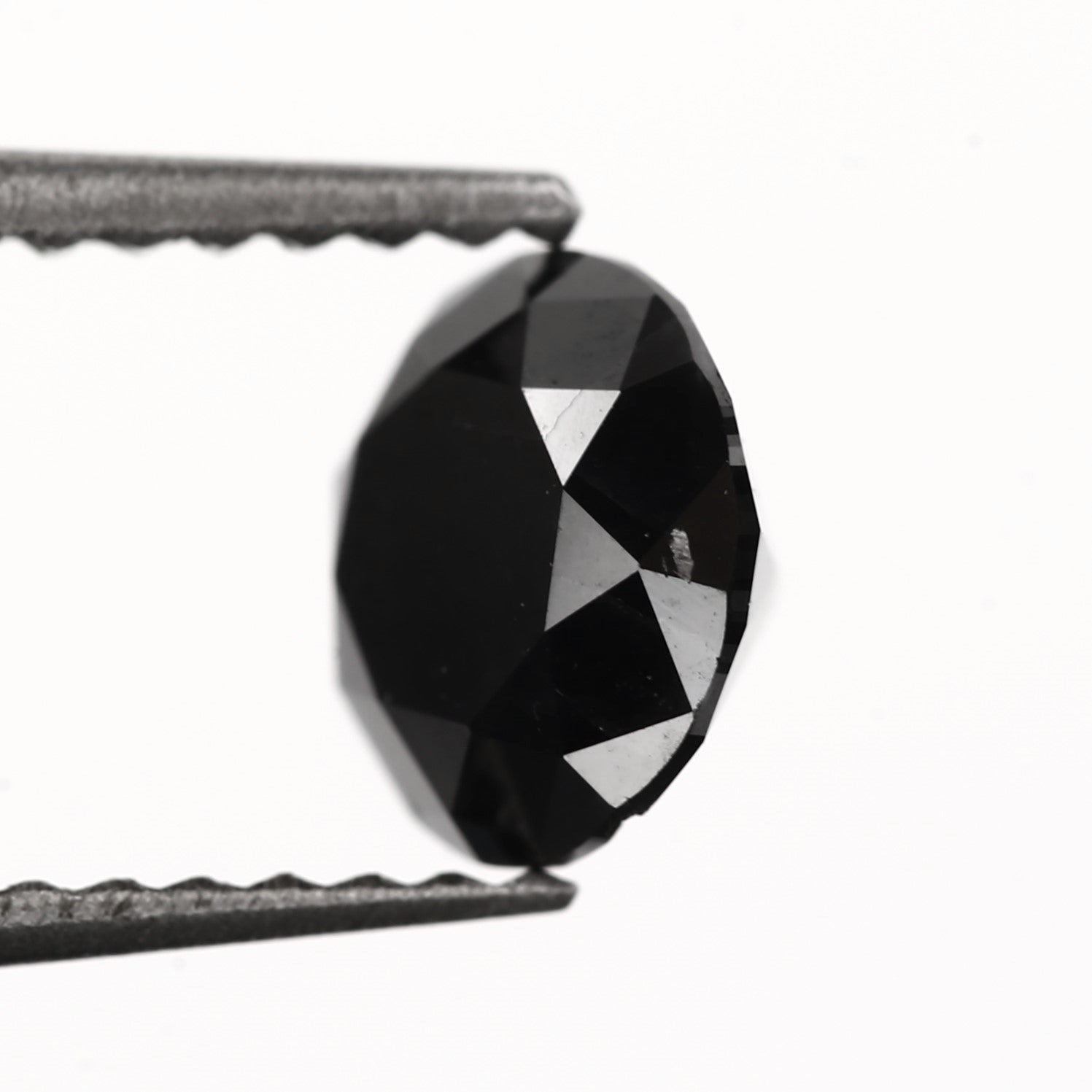 ClariOLED Transparent OLED Display price