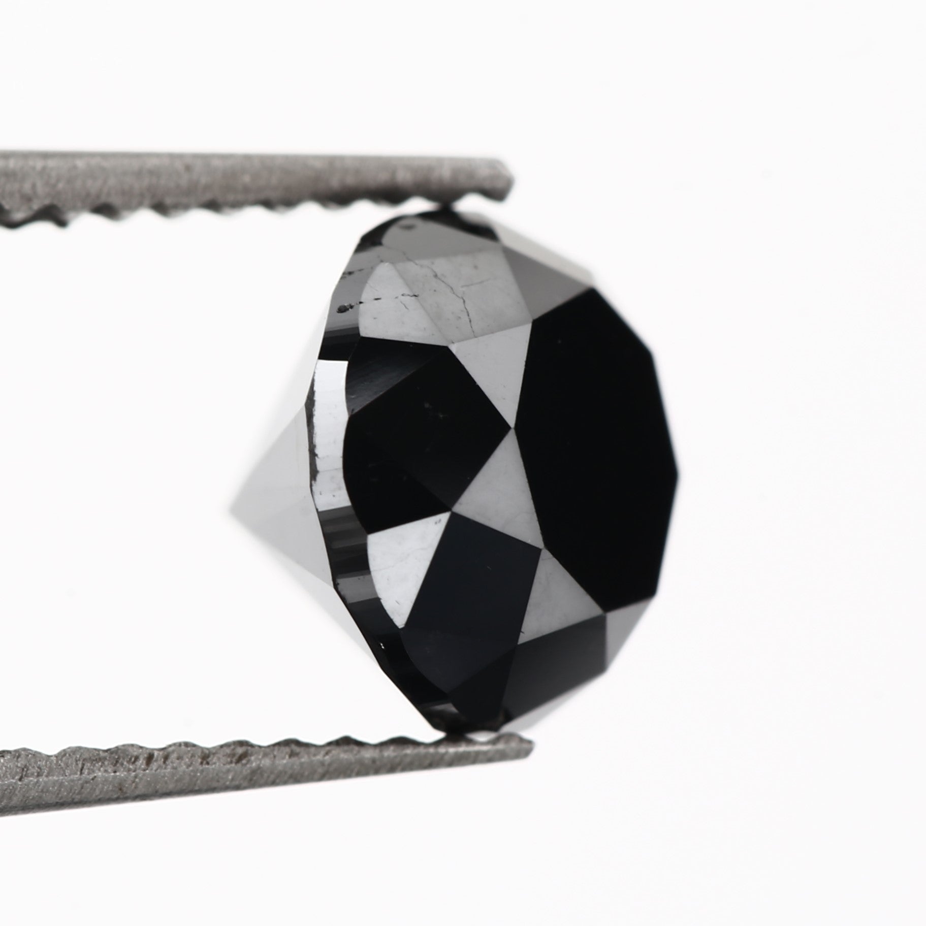 ClariOLED Transparent OLED Display price