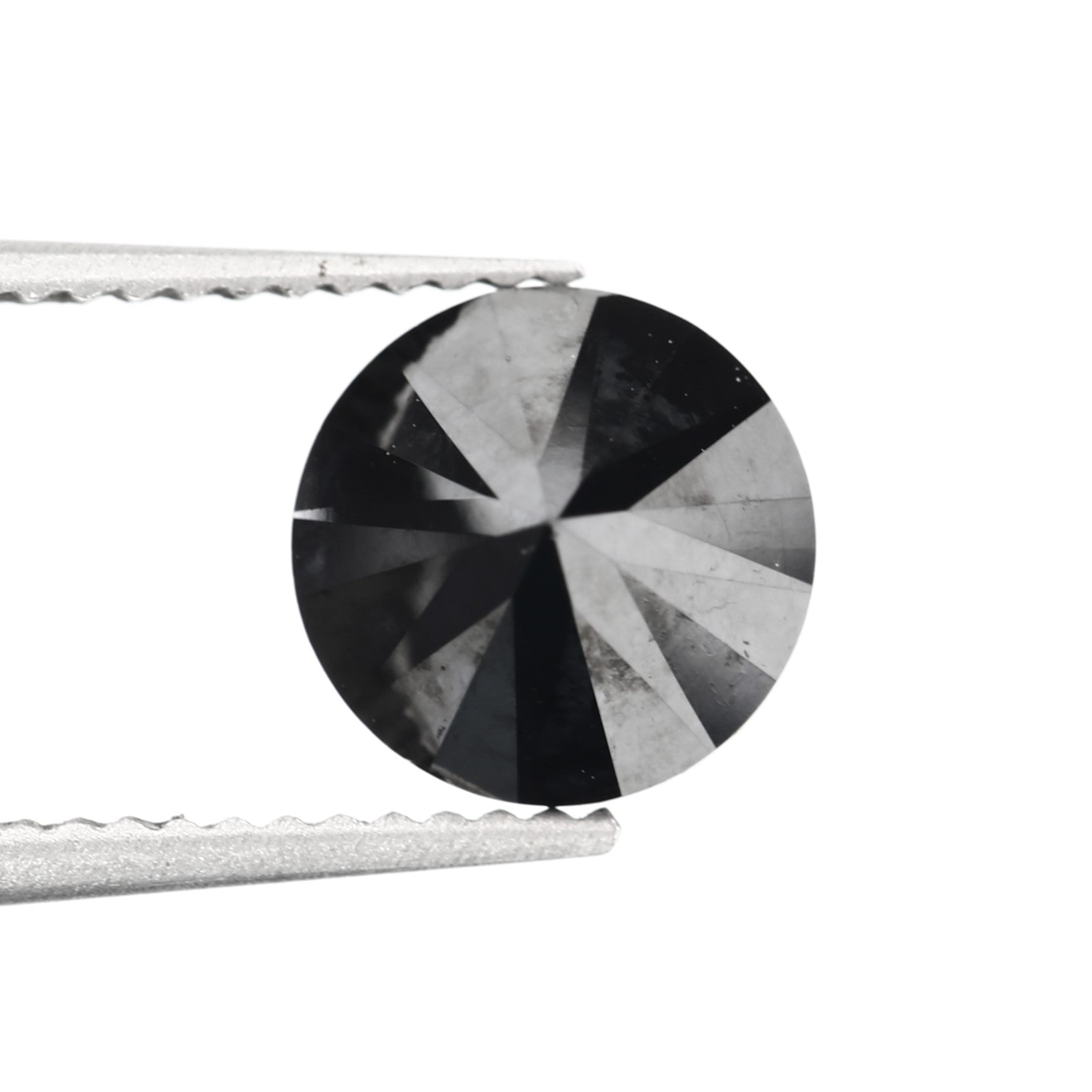 ClariOLED Transparent OLED Display price