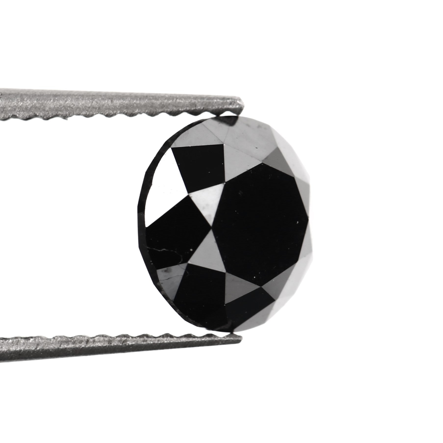 ClariOLED Transparent OLED Display price