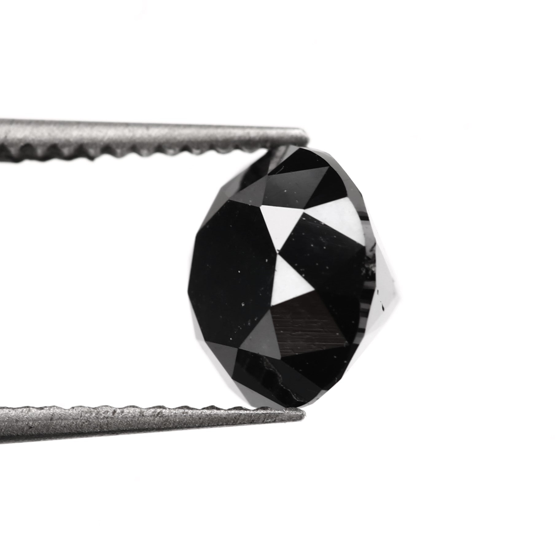 ClariOLED Transparent OLED Display price