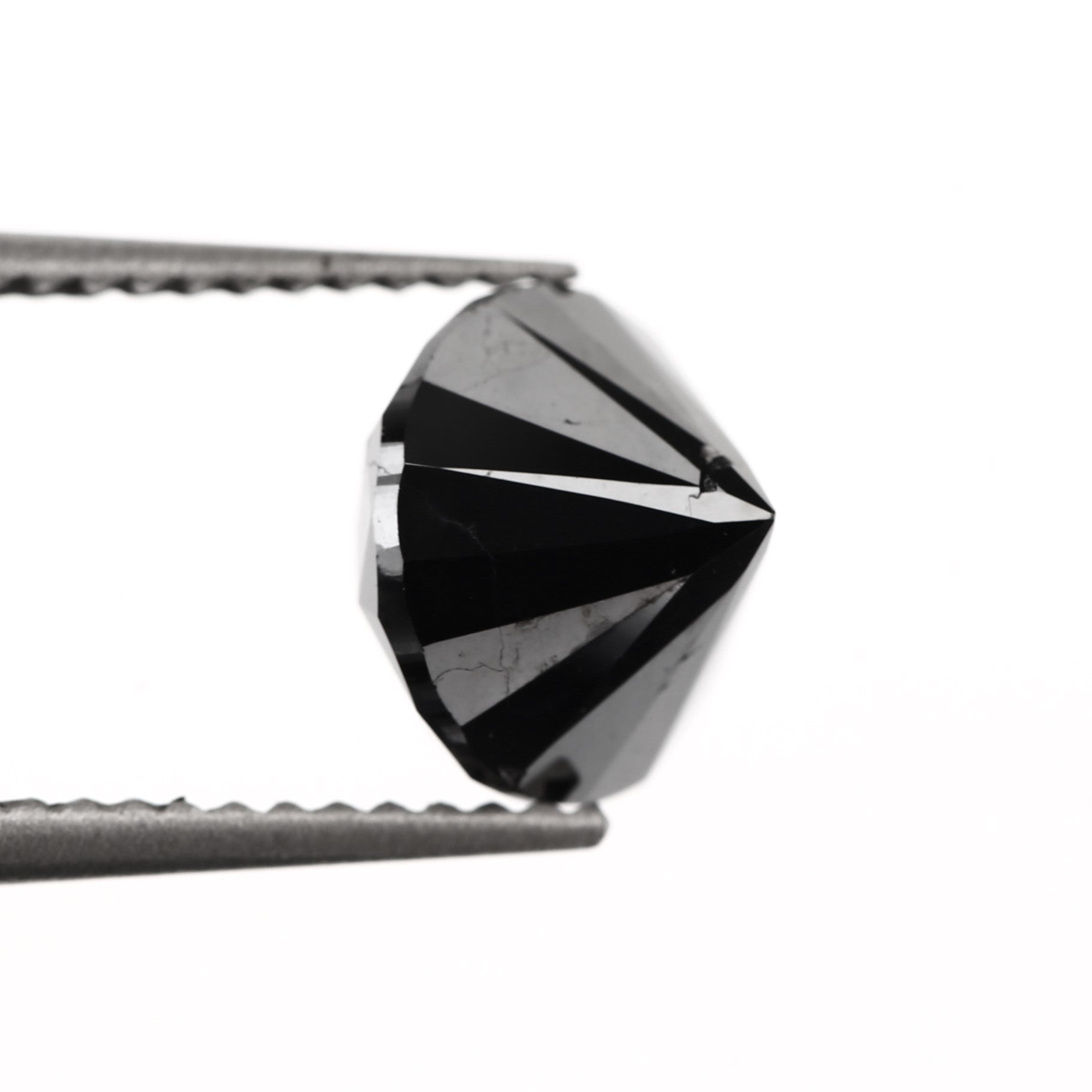 ClariOLED Transparent OLED Display price