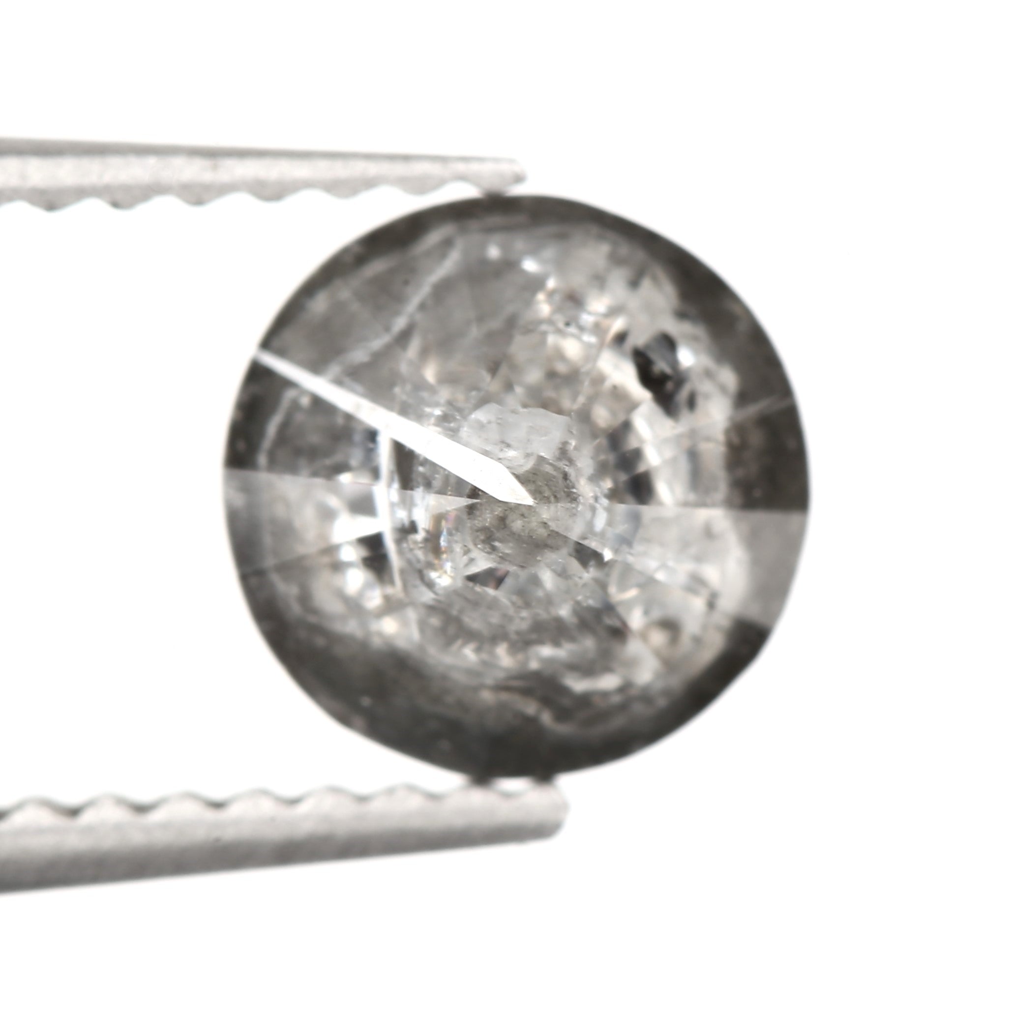 ClariOLED Transparent OLED Display price