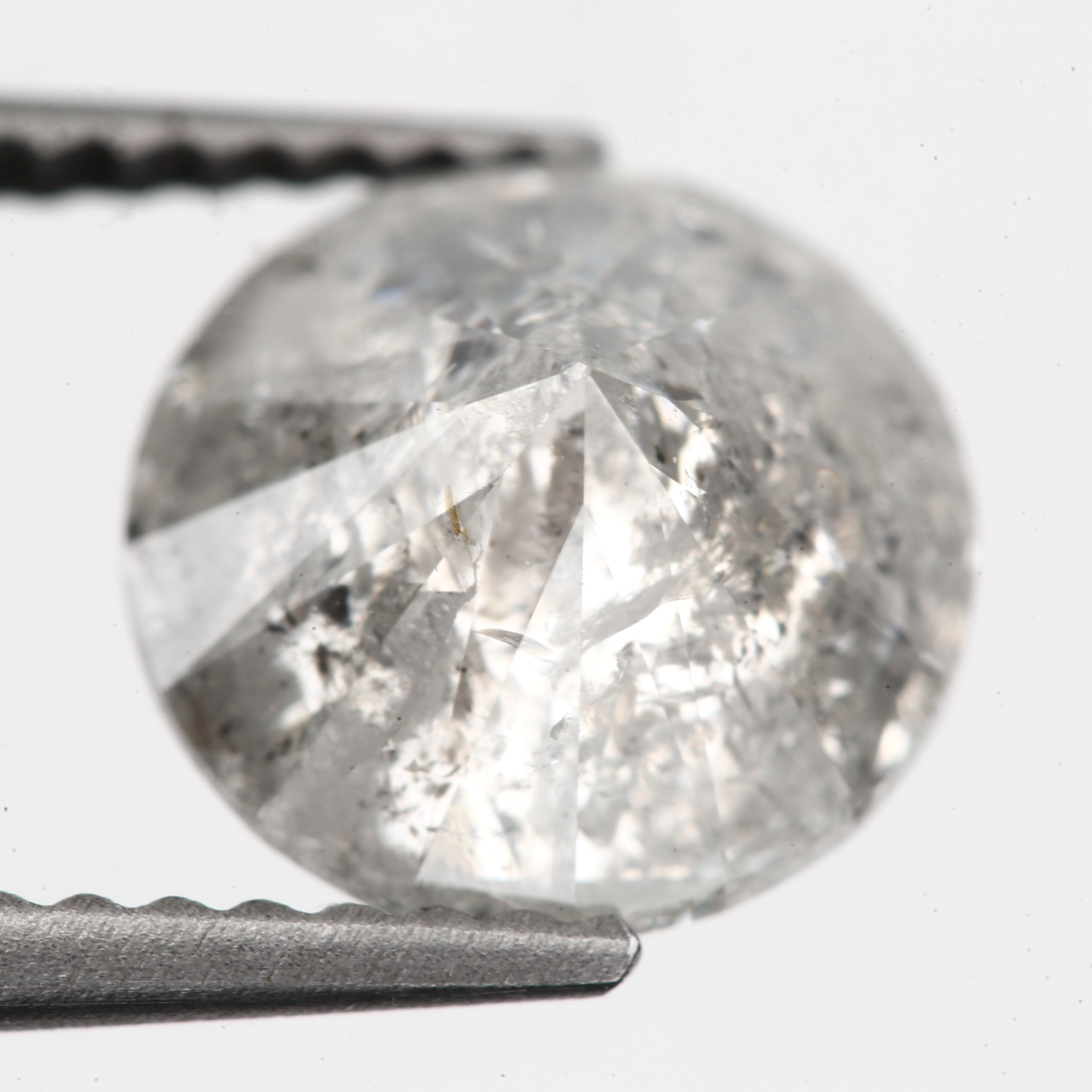 ClariOLED Transparent OLED Display price