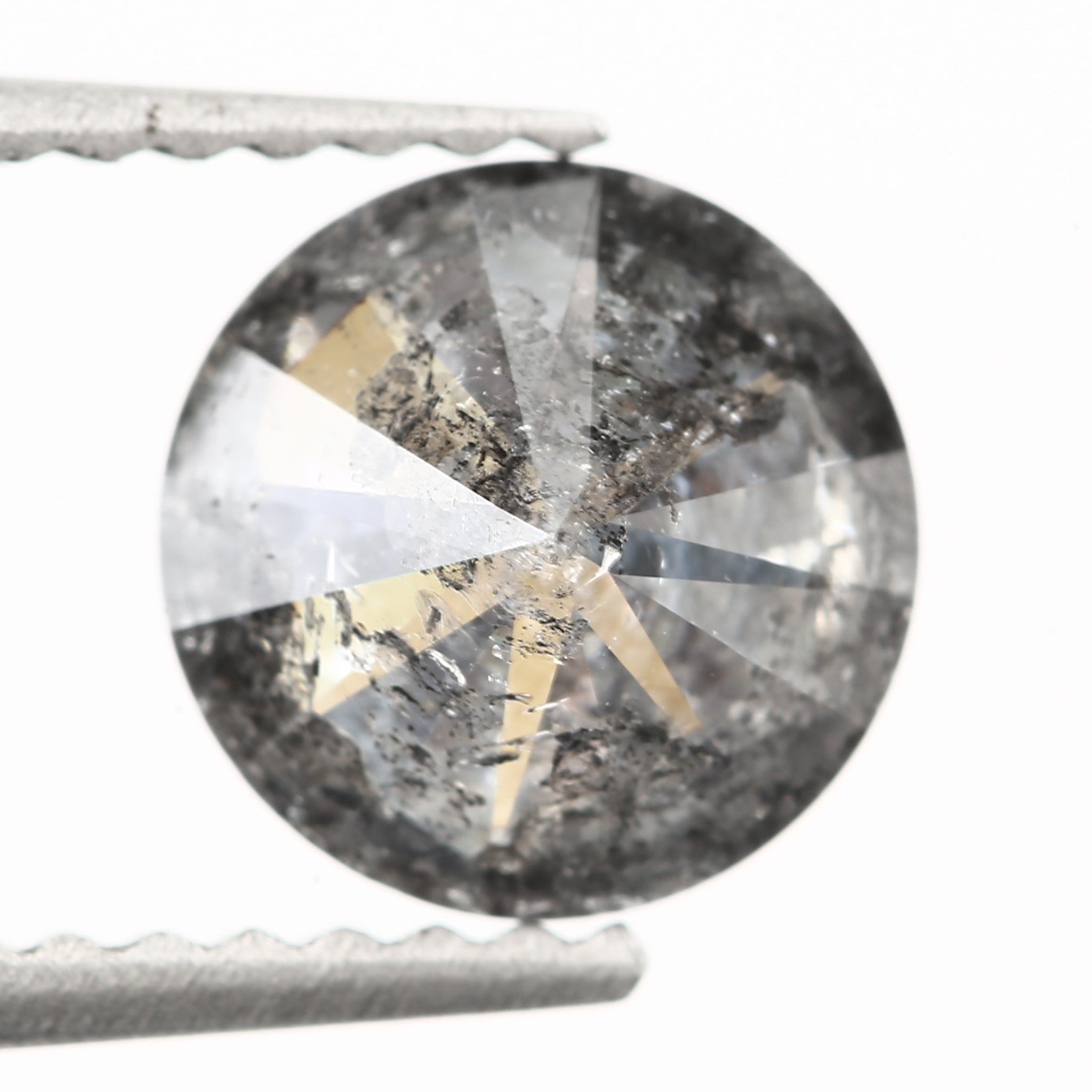 ClariOLED Transparent OLED Display price