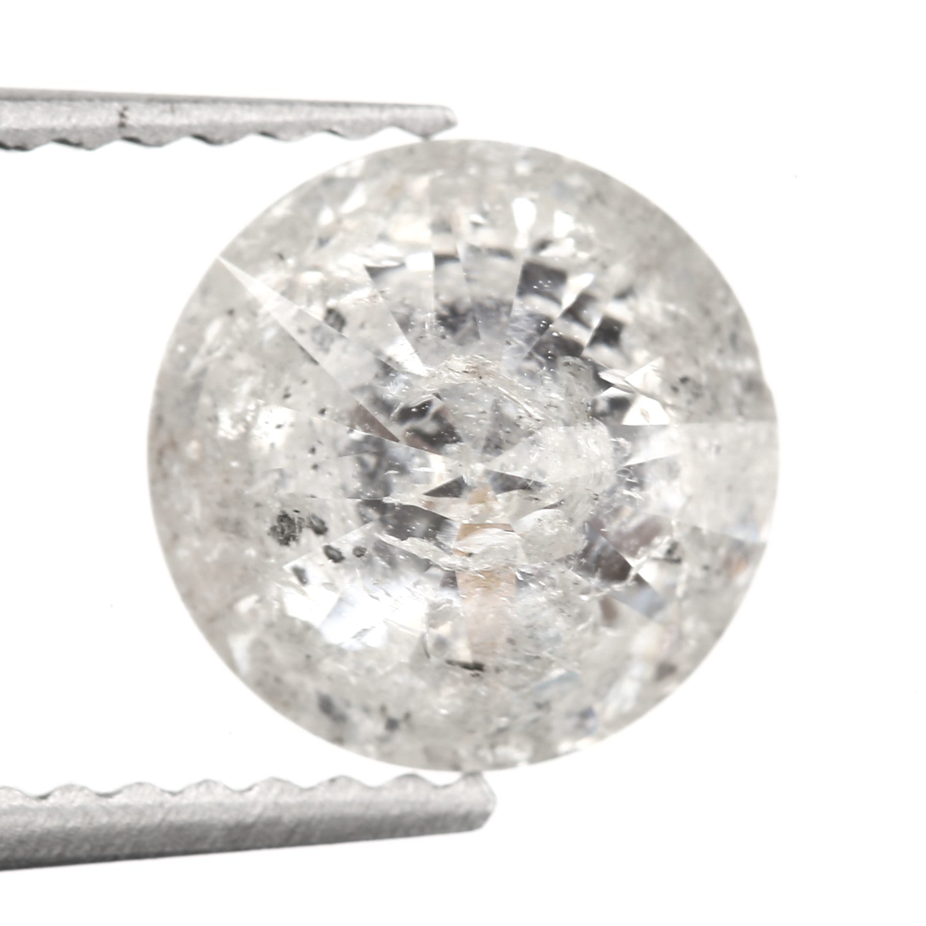 ClariOLED Transparent OLED Display price