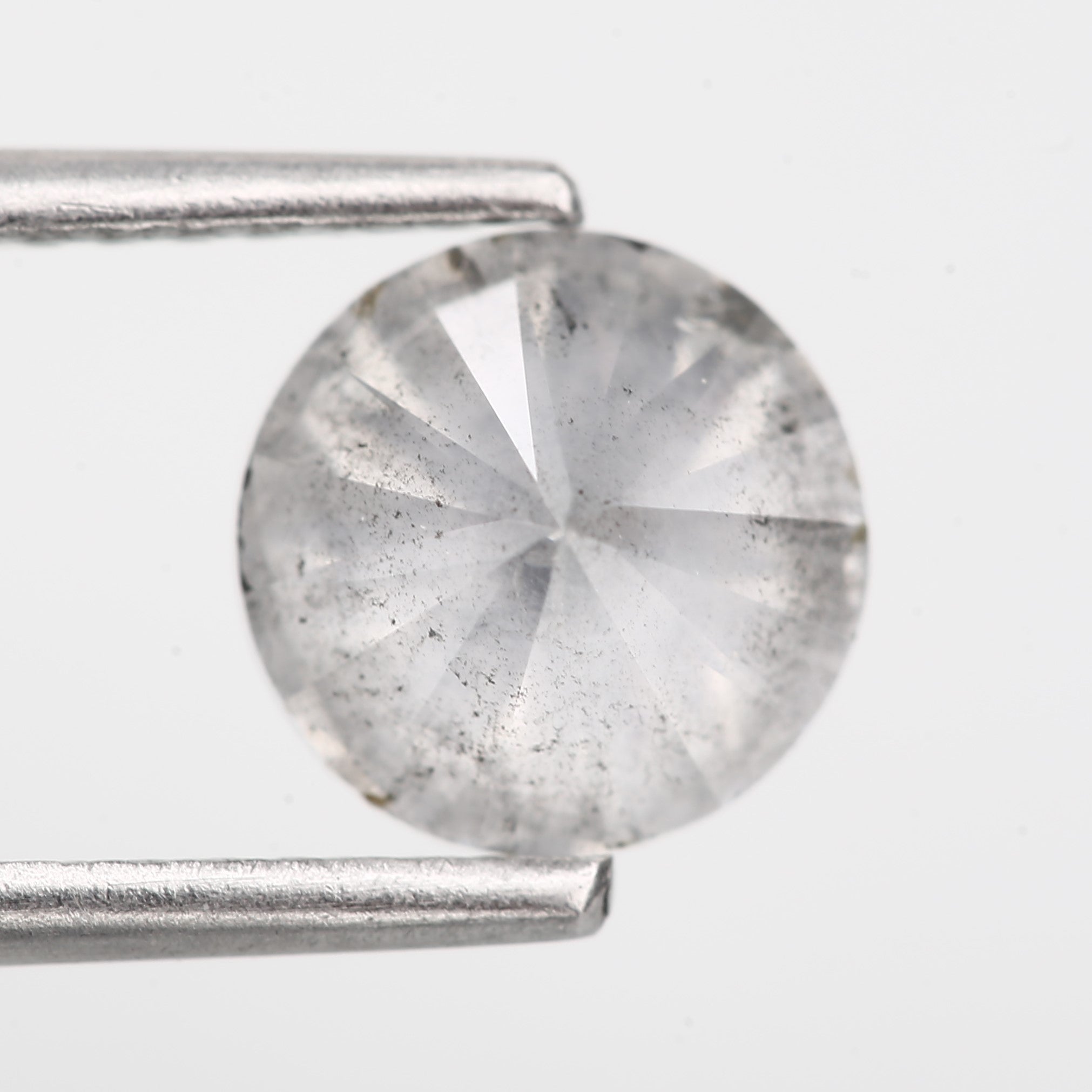 ClariOLED Transparent OLED Display price