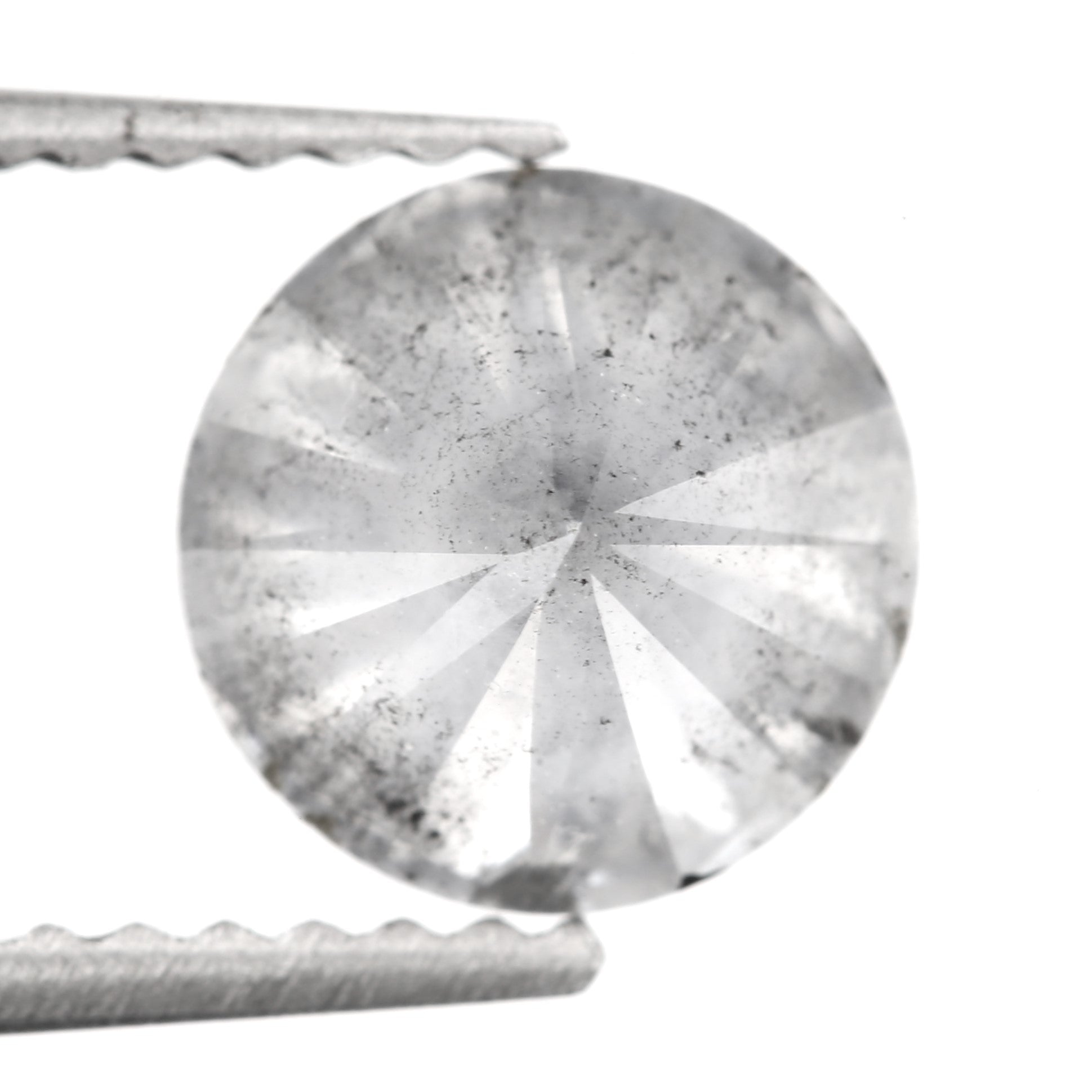 ClariOLED Transparent OLED Display price