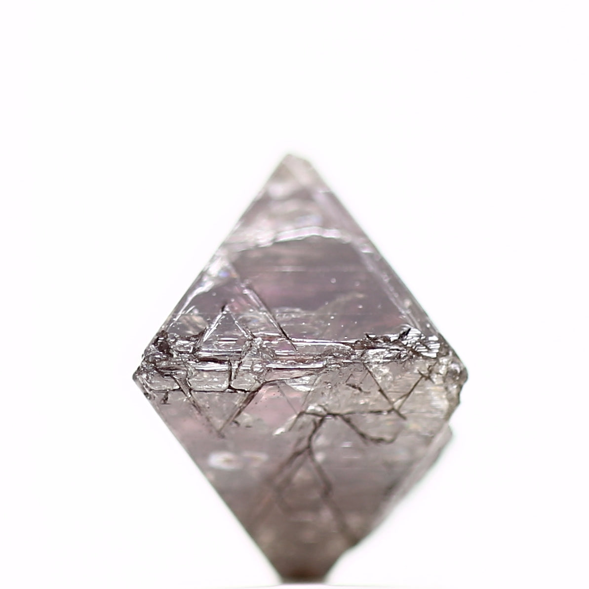 ClariOLED Transparent OLED Display price