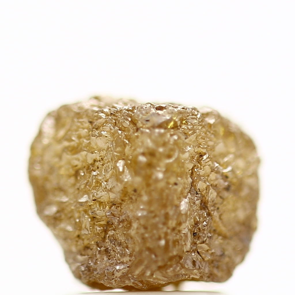 ClariOLED Transparent OLED Display price