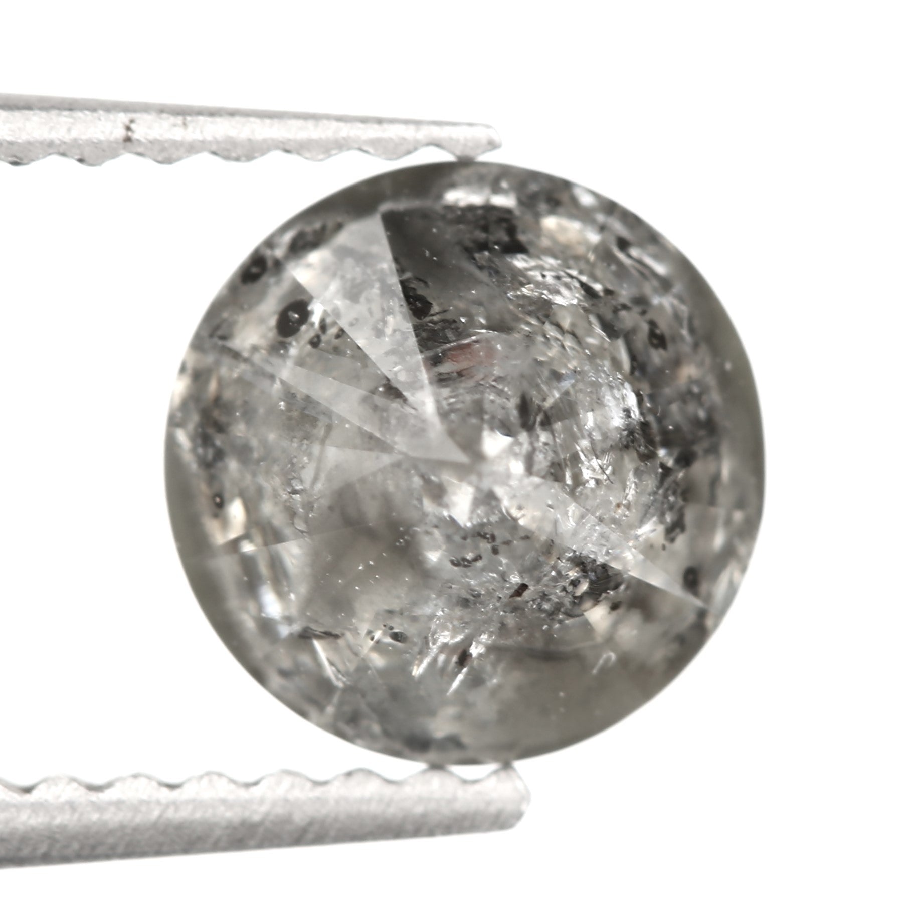 ClariOLED Transparent OLED Display price