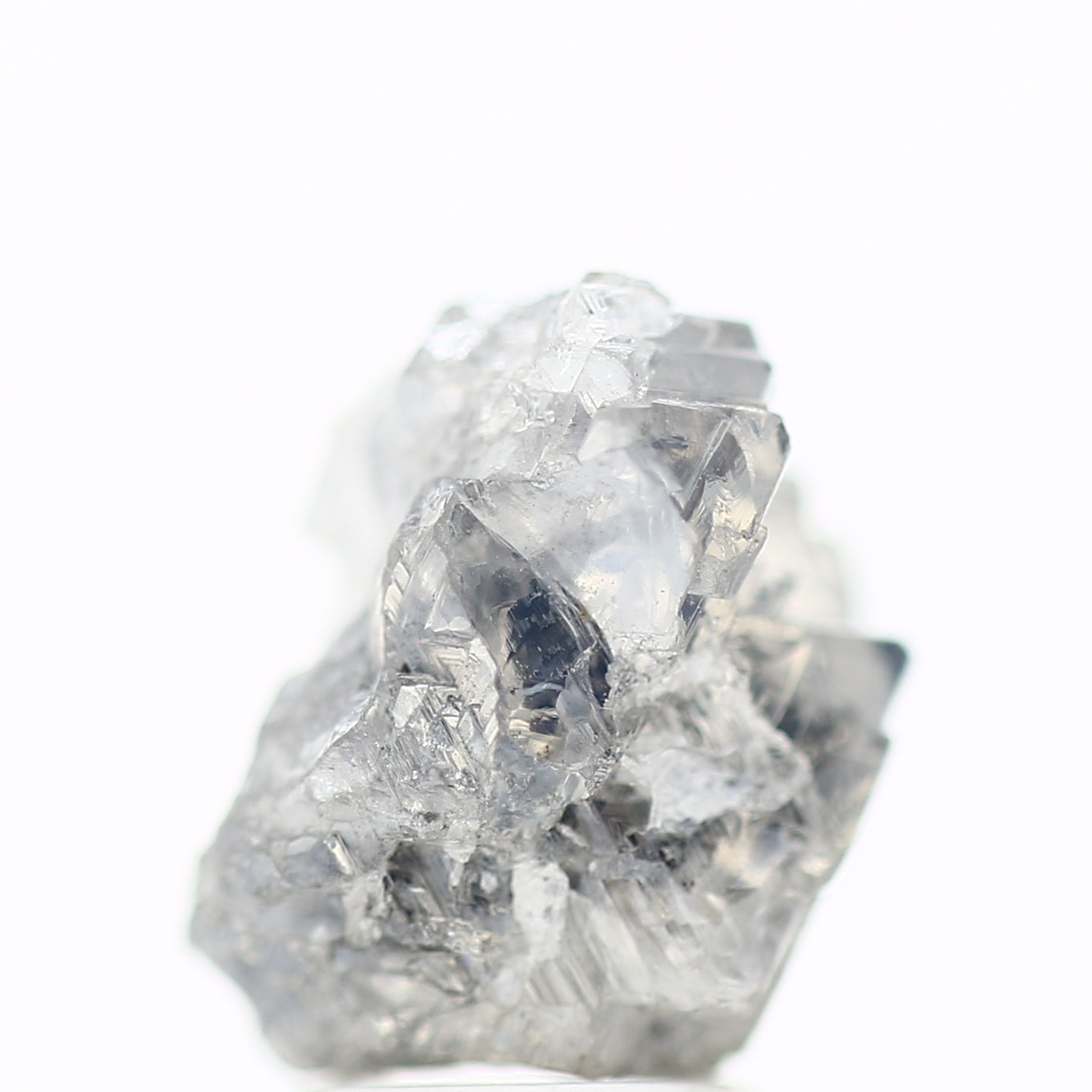 ClariOLED Transparent OLED Display price