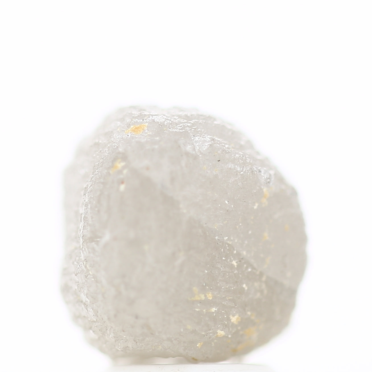 ClariOLED Transparent OLED Display price