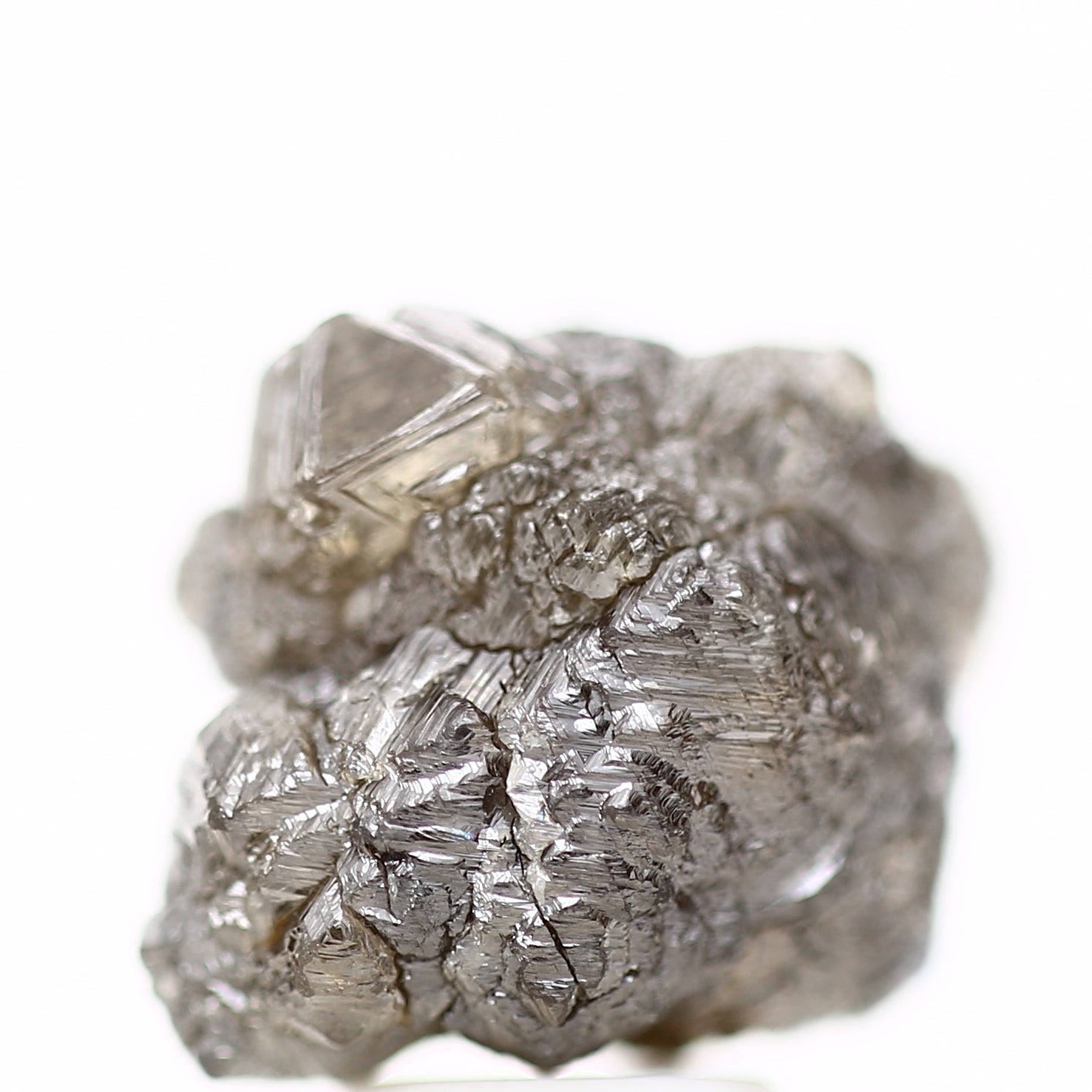 ClariOLED Transparent OLED Display price