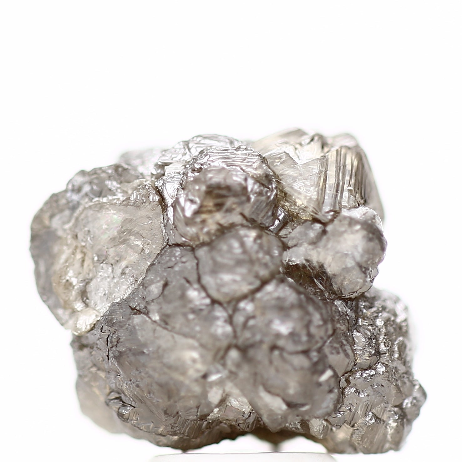 ClariOLED Transparent OLED Display price