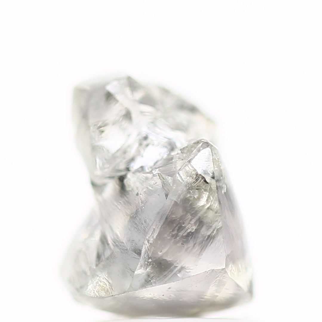 ClariOLED Transparent OLED Display price