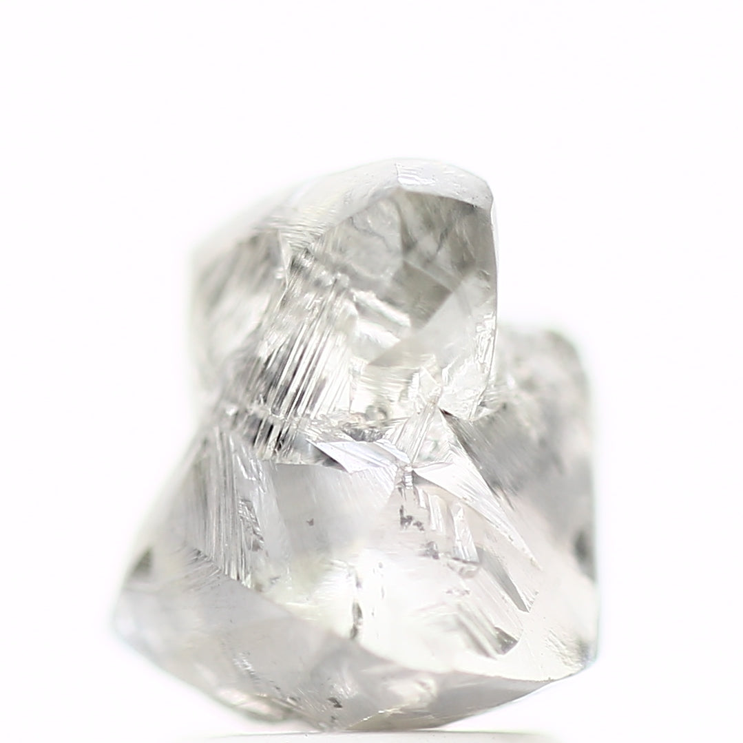 ClariOLED Transparent OLED Display price