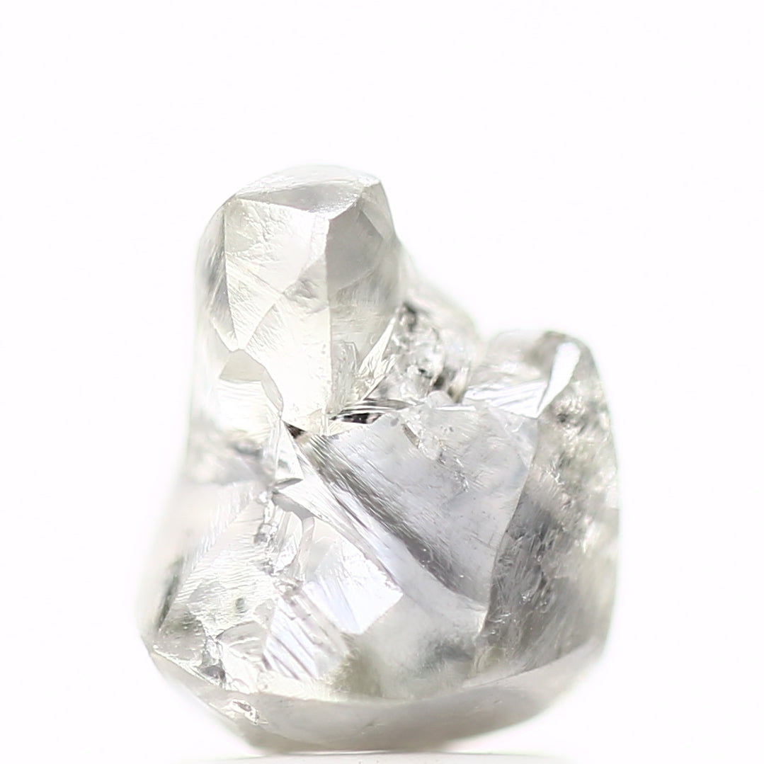 ClariOLED Transparent OLED Display price