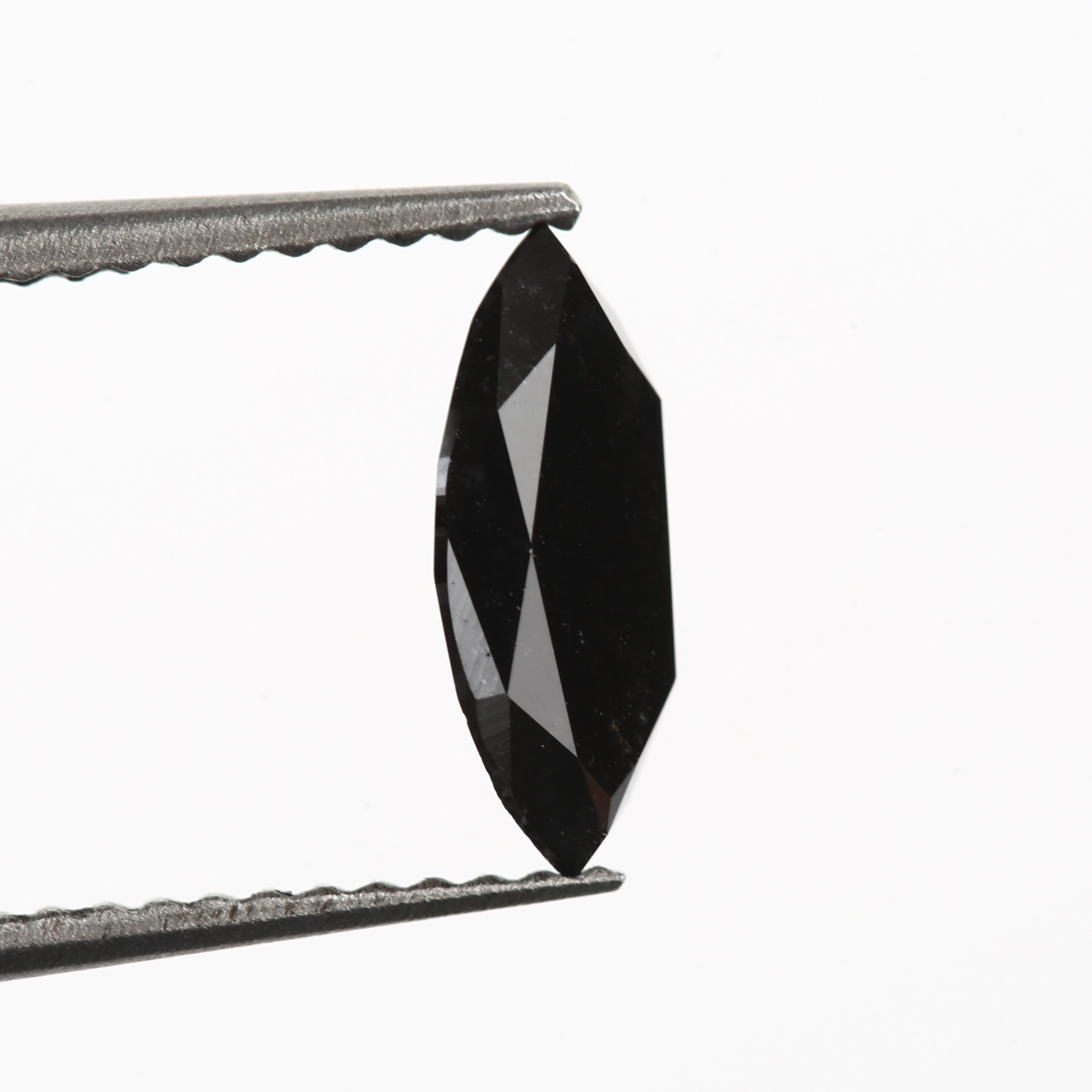 ClariOLED Transparent OLED Display price