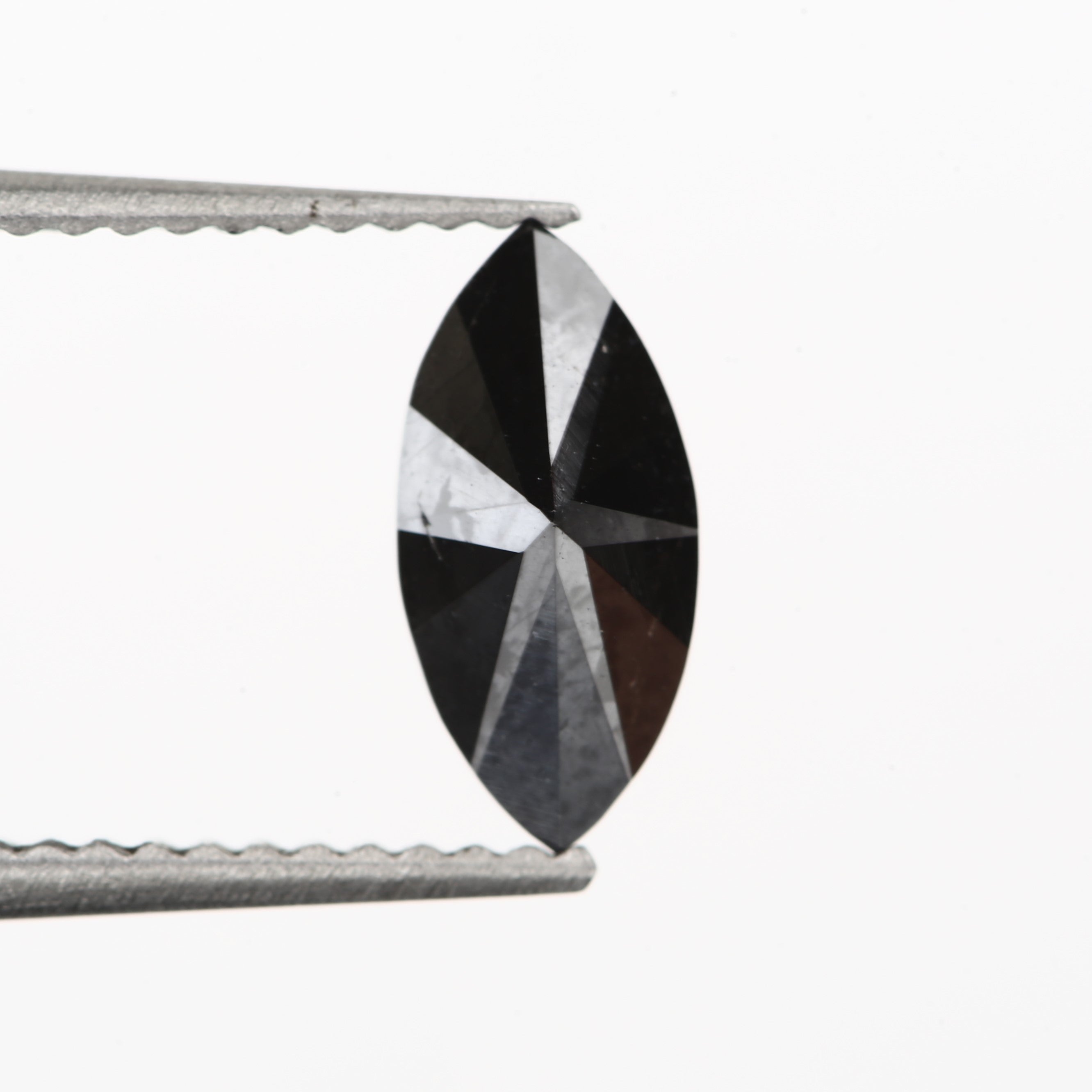 ClariOLED Transparent OLED Display price