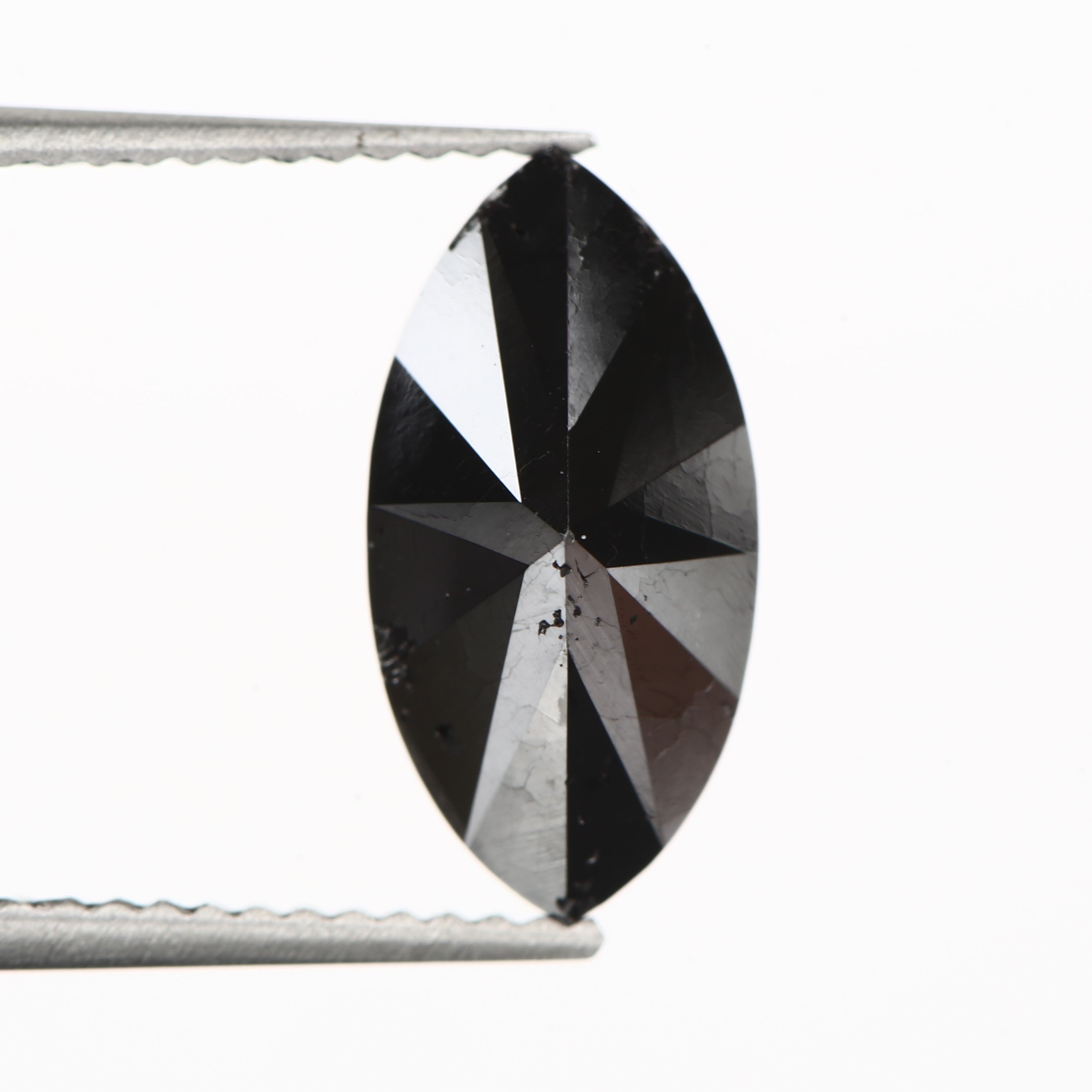 ClariOLED Transparent OLED Display price