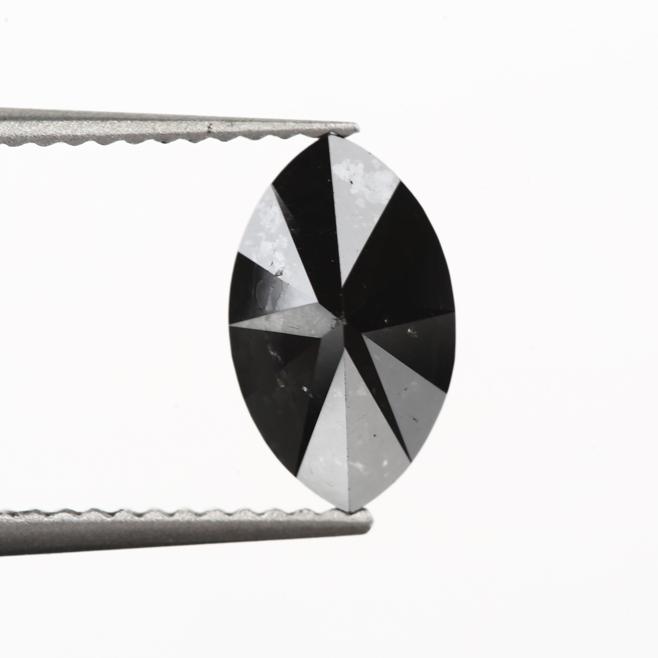 ClariOLED Transparent OLED Display price