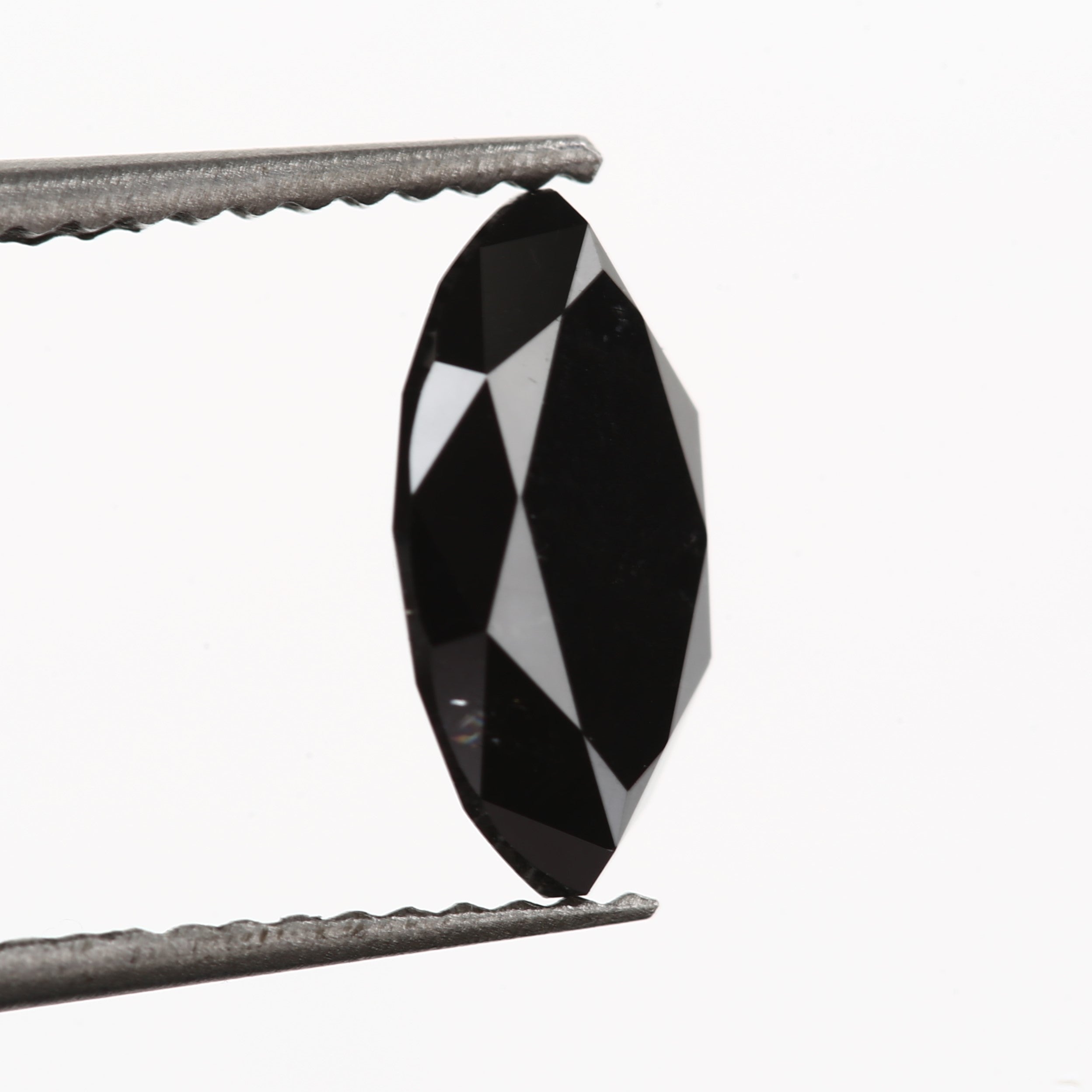 ClariOLED Transparent OLED Display price