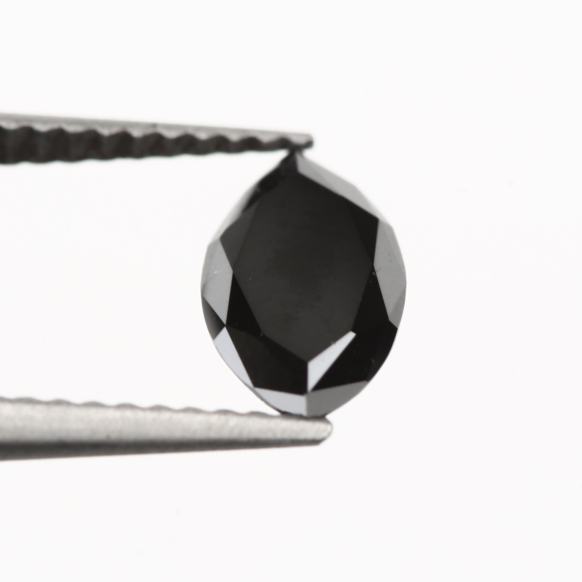 ClariOLED Transparent OLED Display price