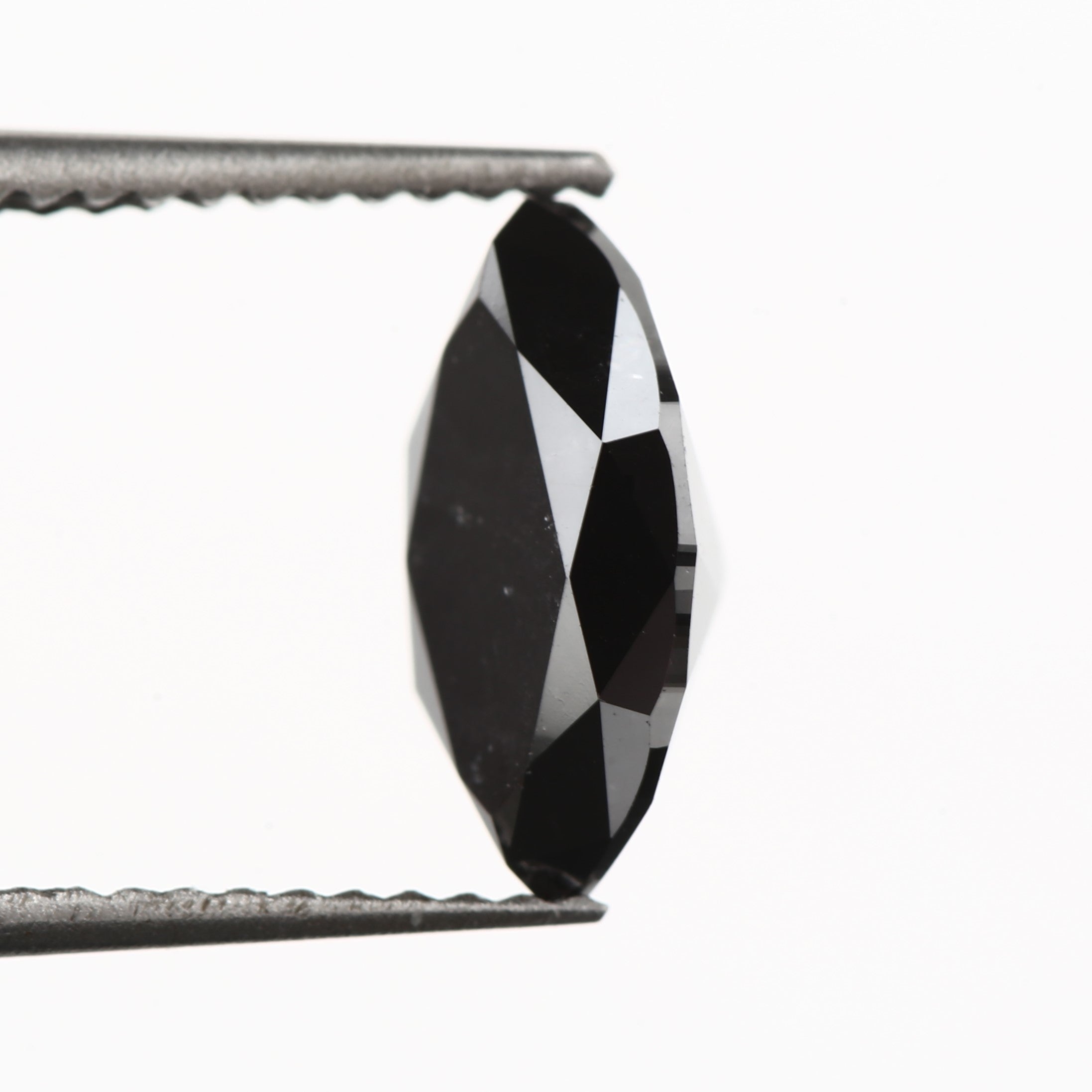 ClariOLED Transparent OLED Display price