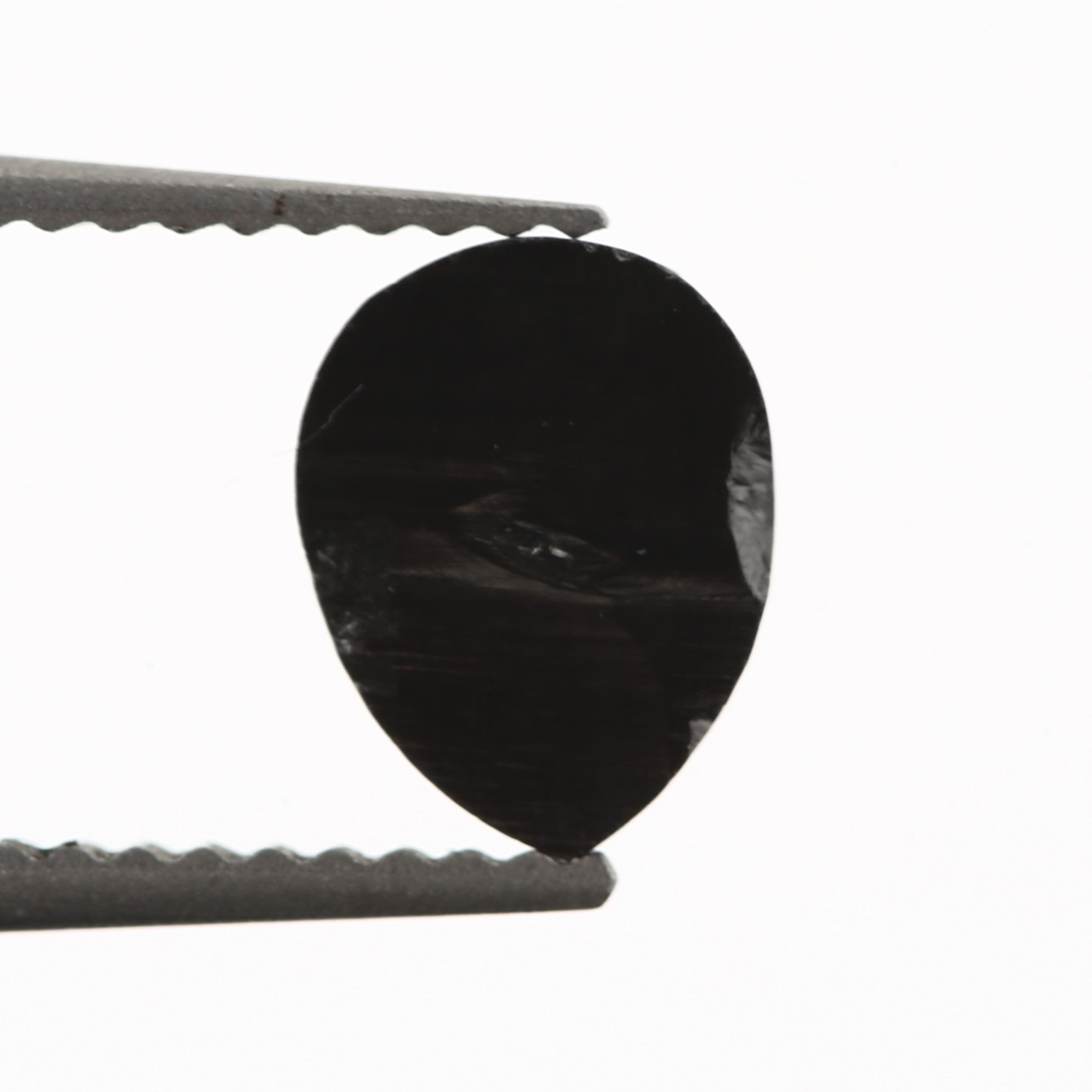 ClariOLED Transparent OLED Display price