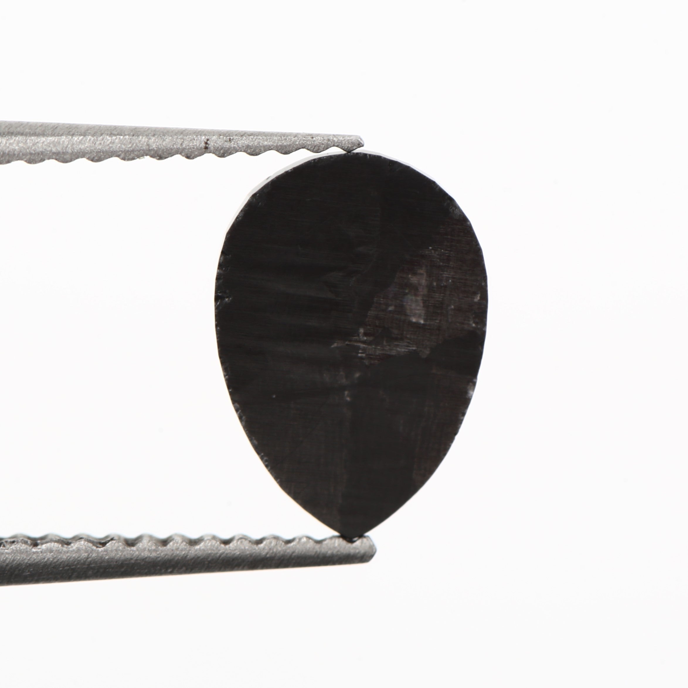 ClariOLED Transparent OLED Display price