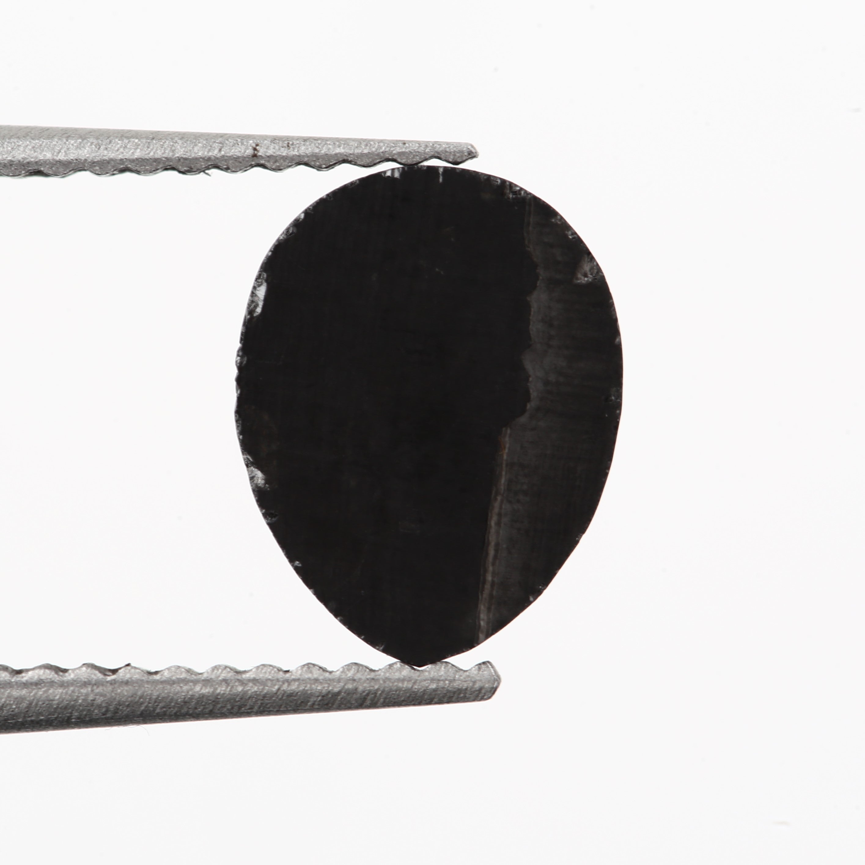 ClariOLED Transparent OLED Display price