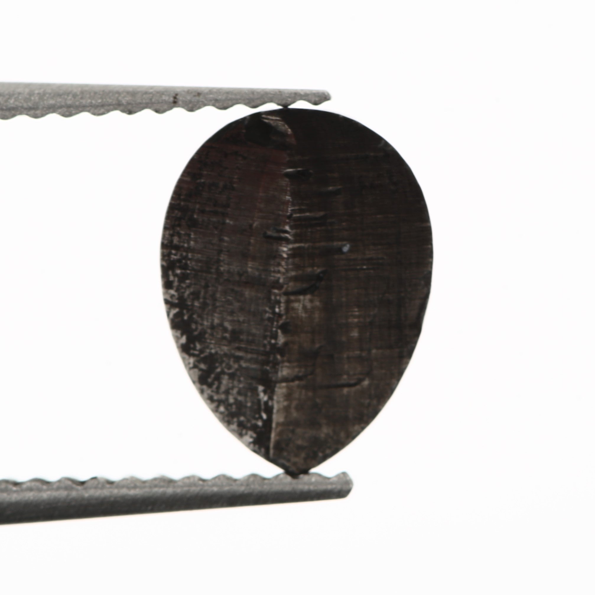 ClariOLED Transparent OLED Display price