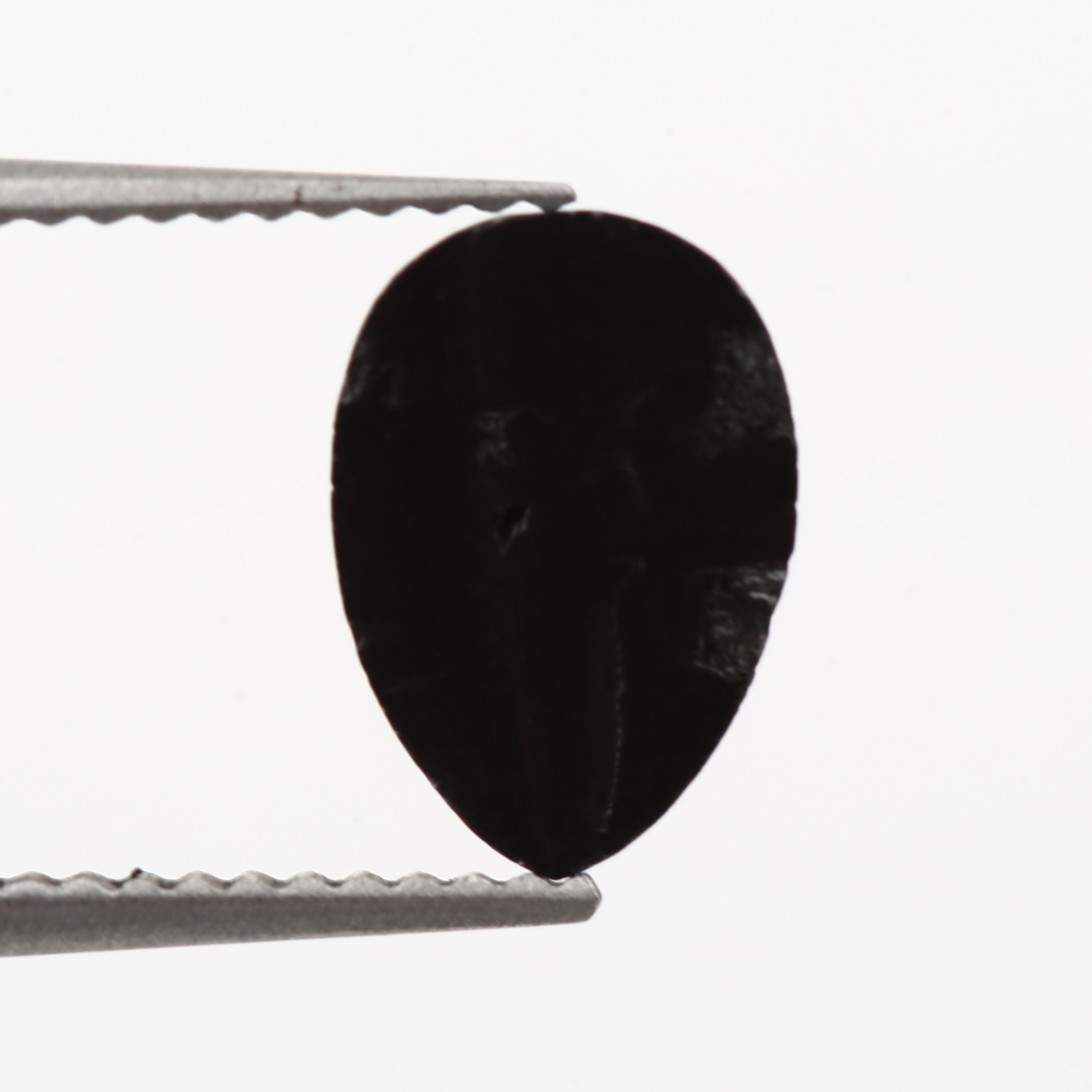 ClariOLED Transparent OLED Display price