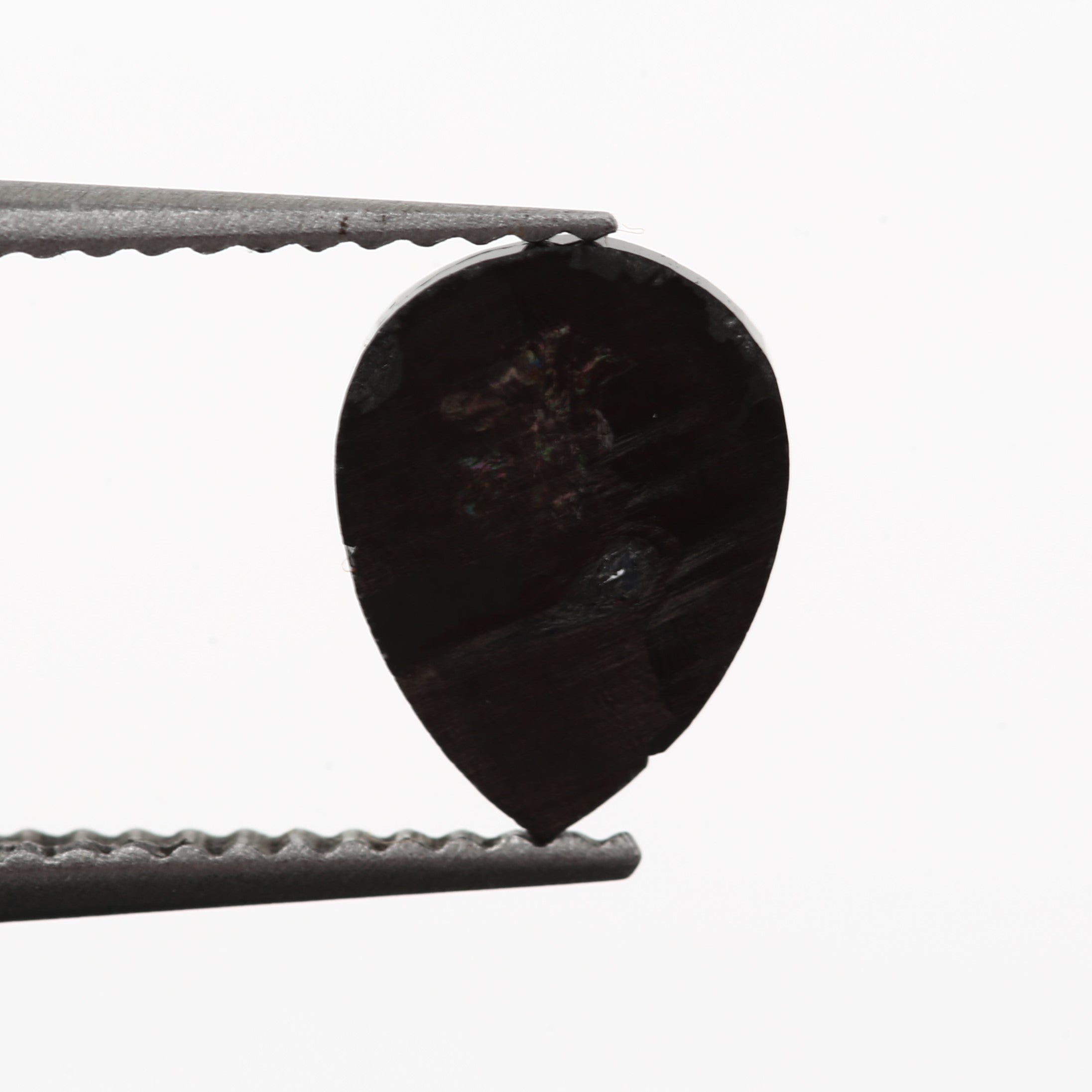 ClariOLED Transparent OLED Display price