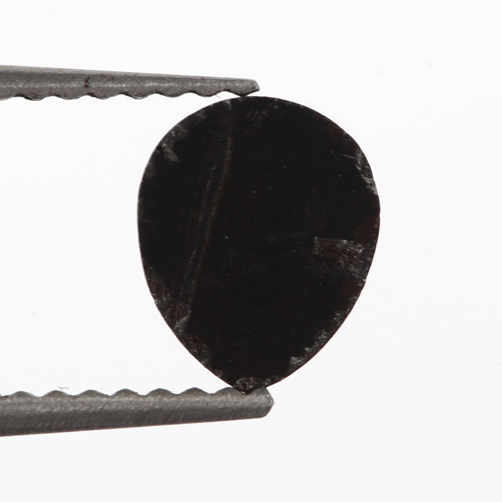 ClariOLED Transparent OLED Display price