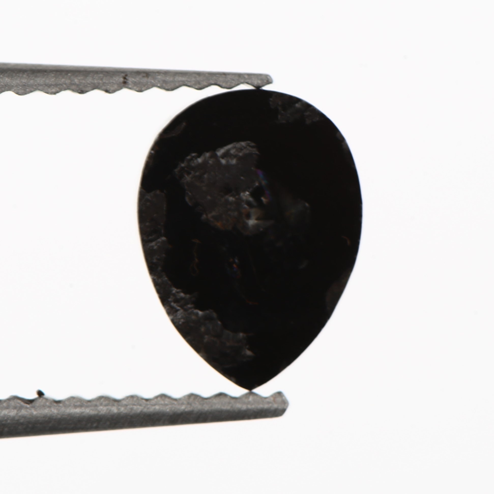 ClariOLED Transparent OLED Display price