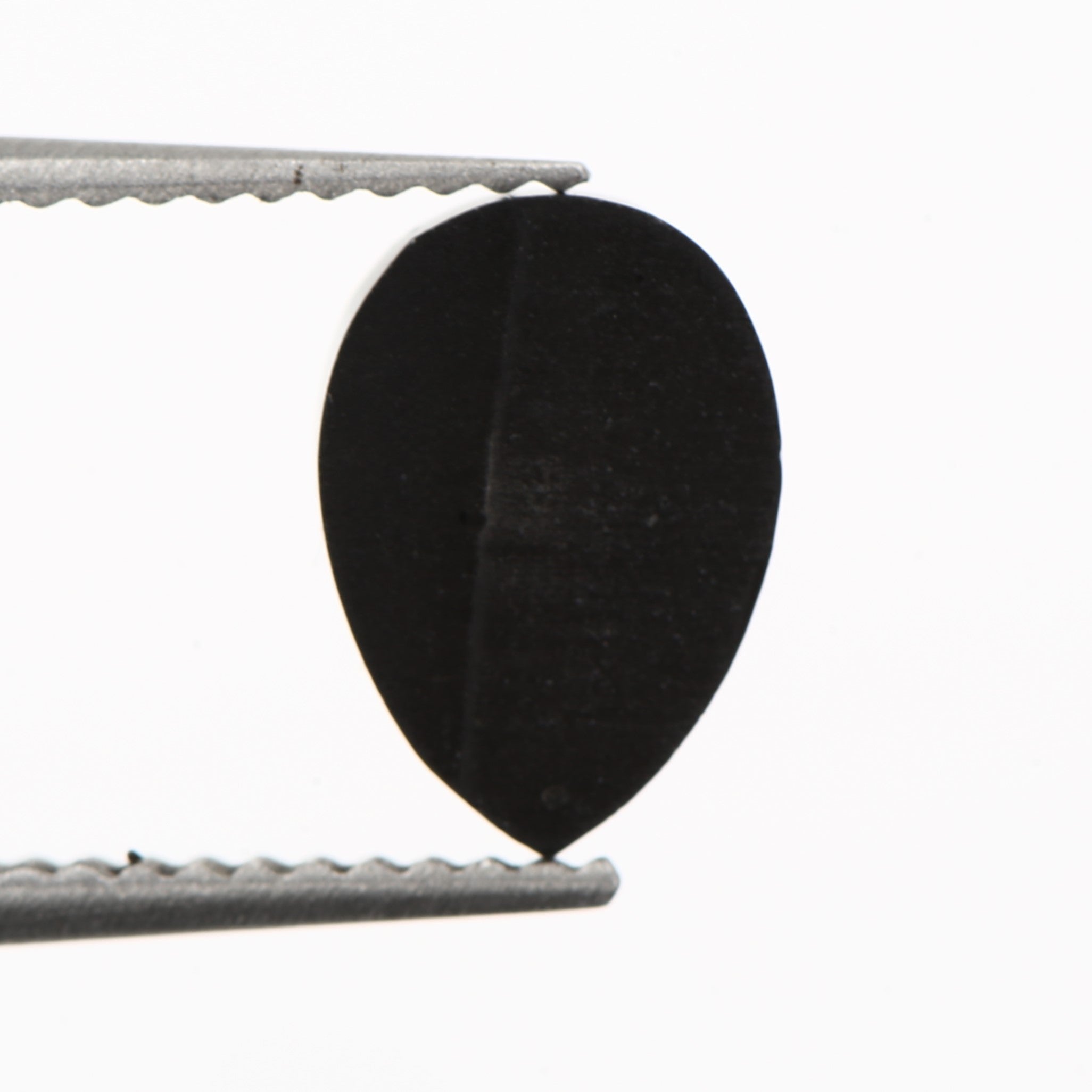 ClariOLED Transparent OLED Display price