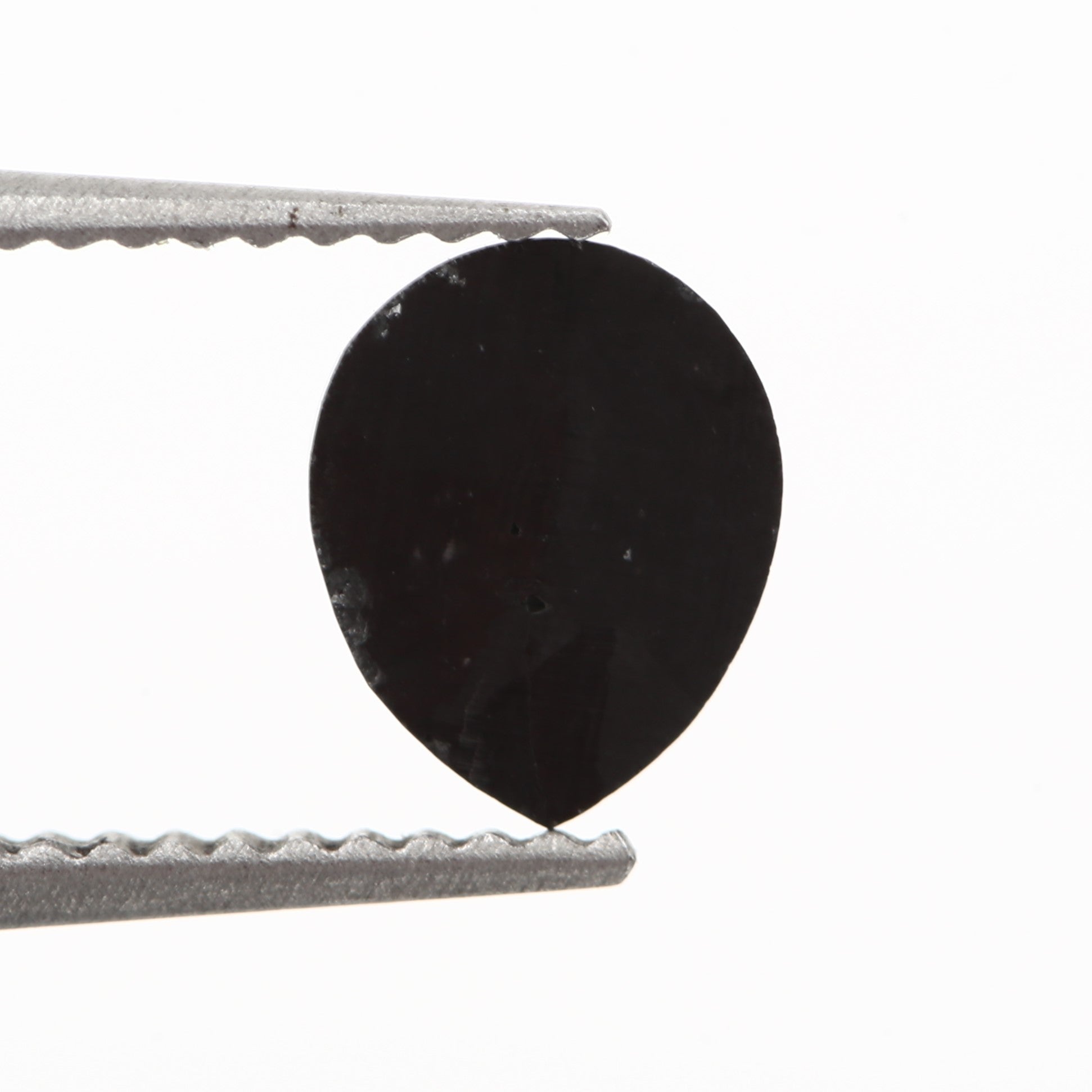 ClariOLED Transparent OLED Display price