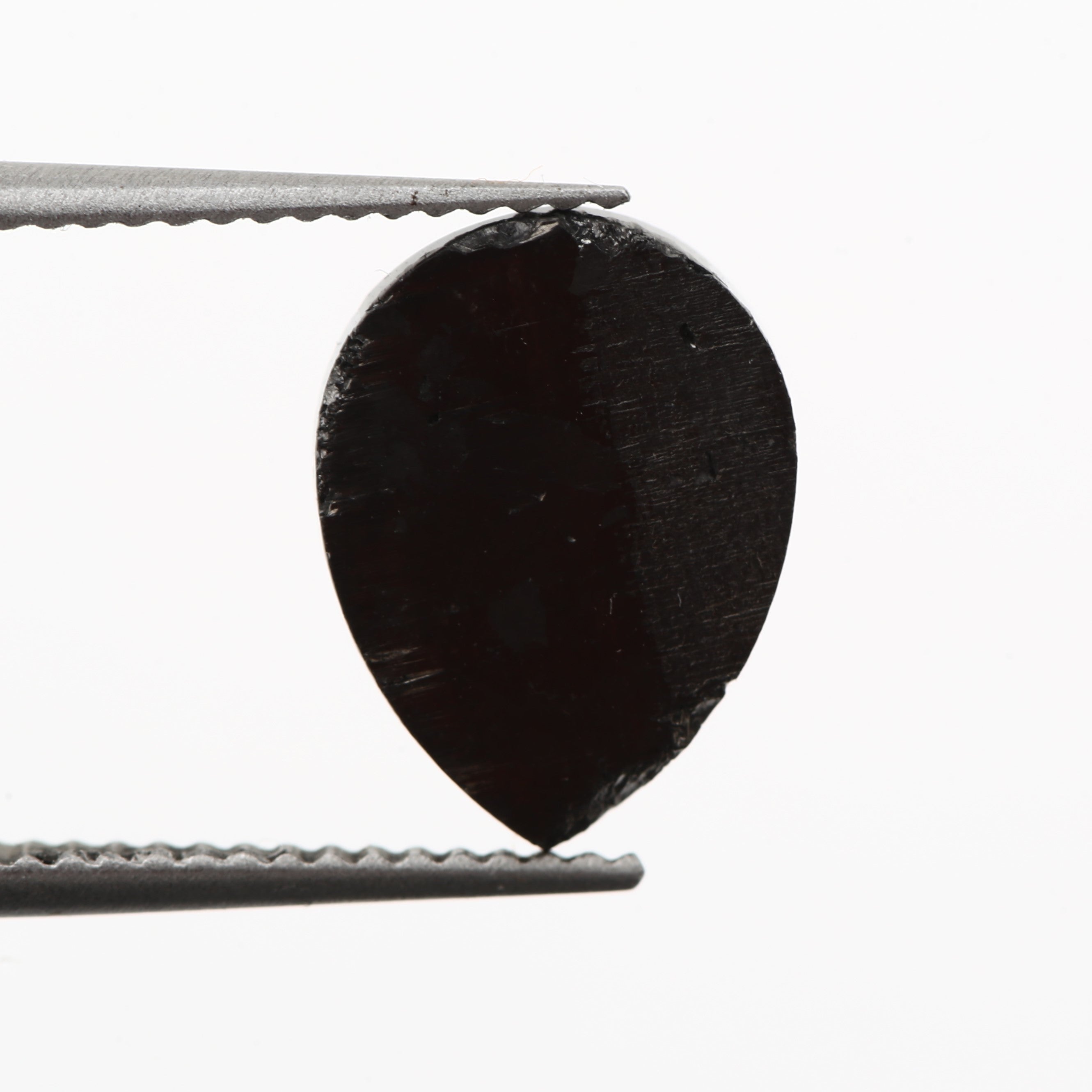 ClariOLED Transparent OLED Display price