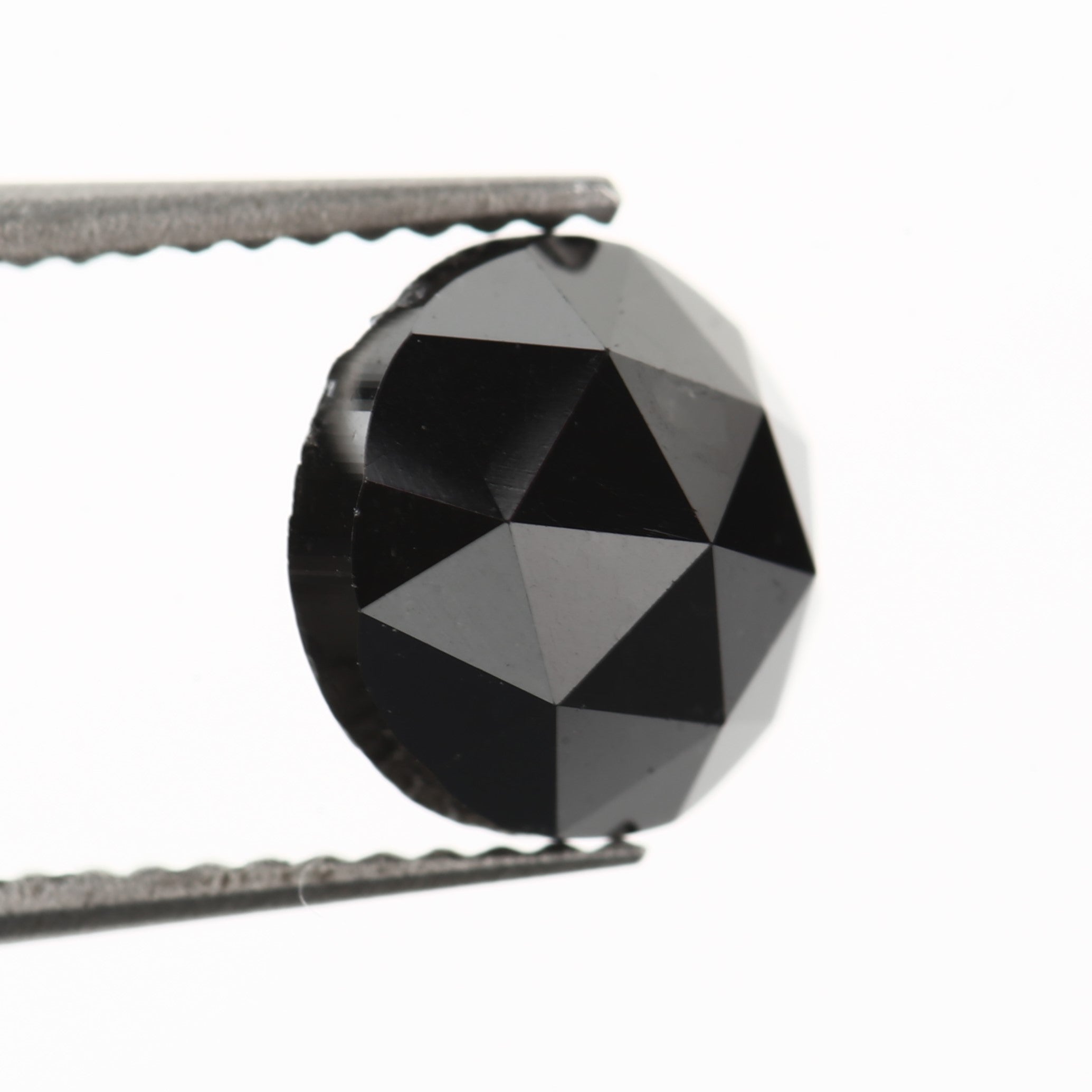 ClariOLED Transparent OLED Display price