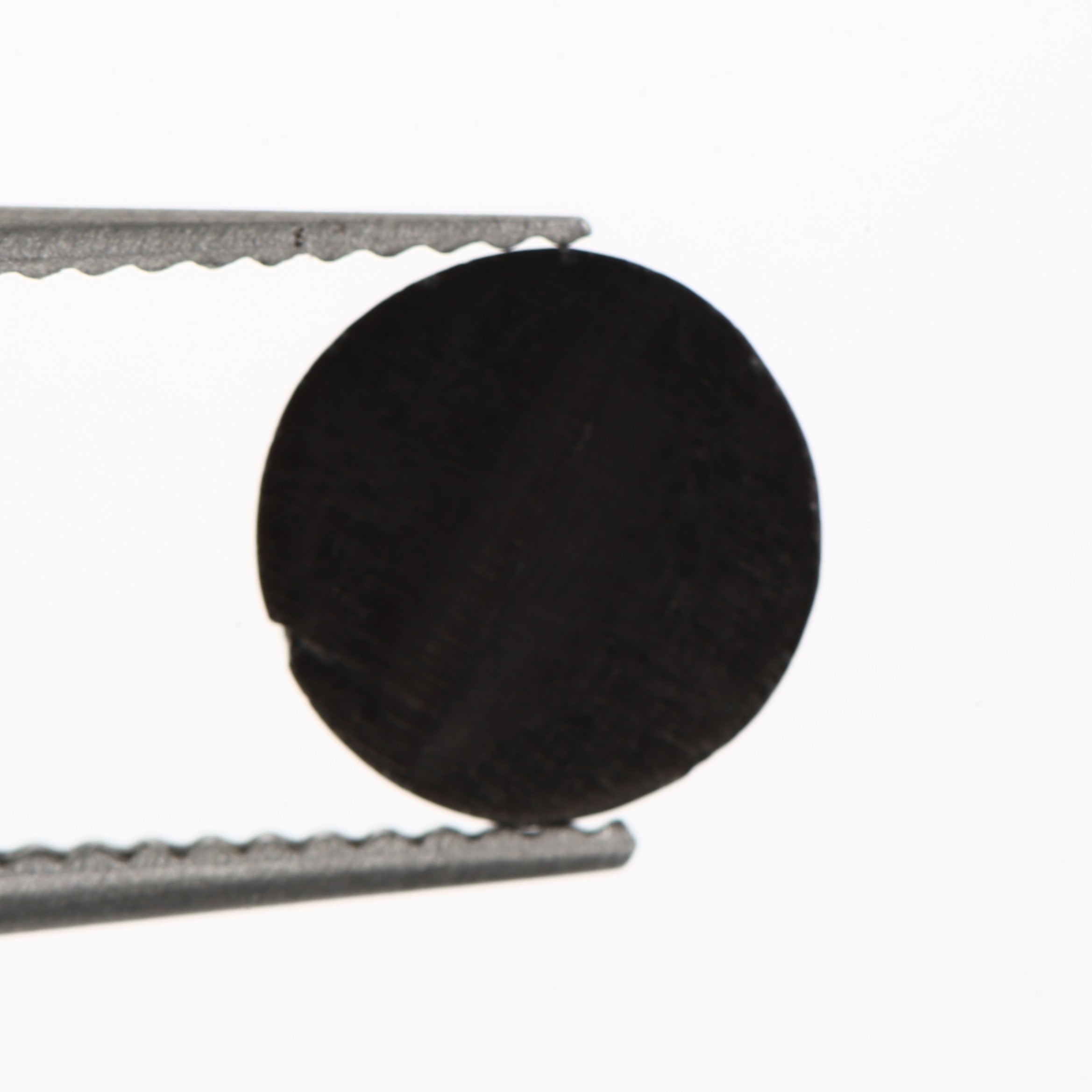 ClariOLED Transparent OLED Display price