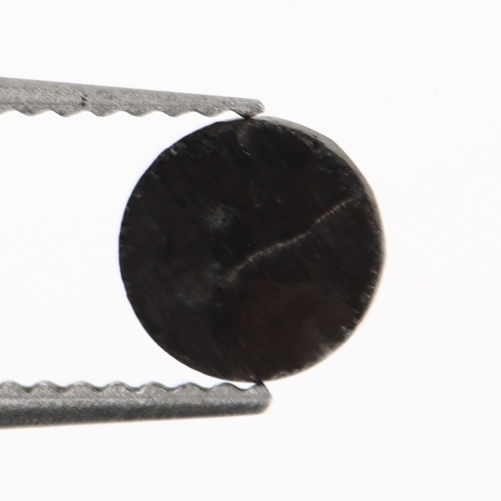 ClariOLED Transparent OLED Display price