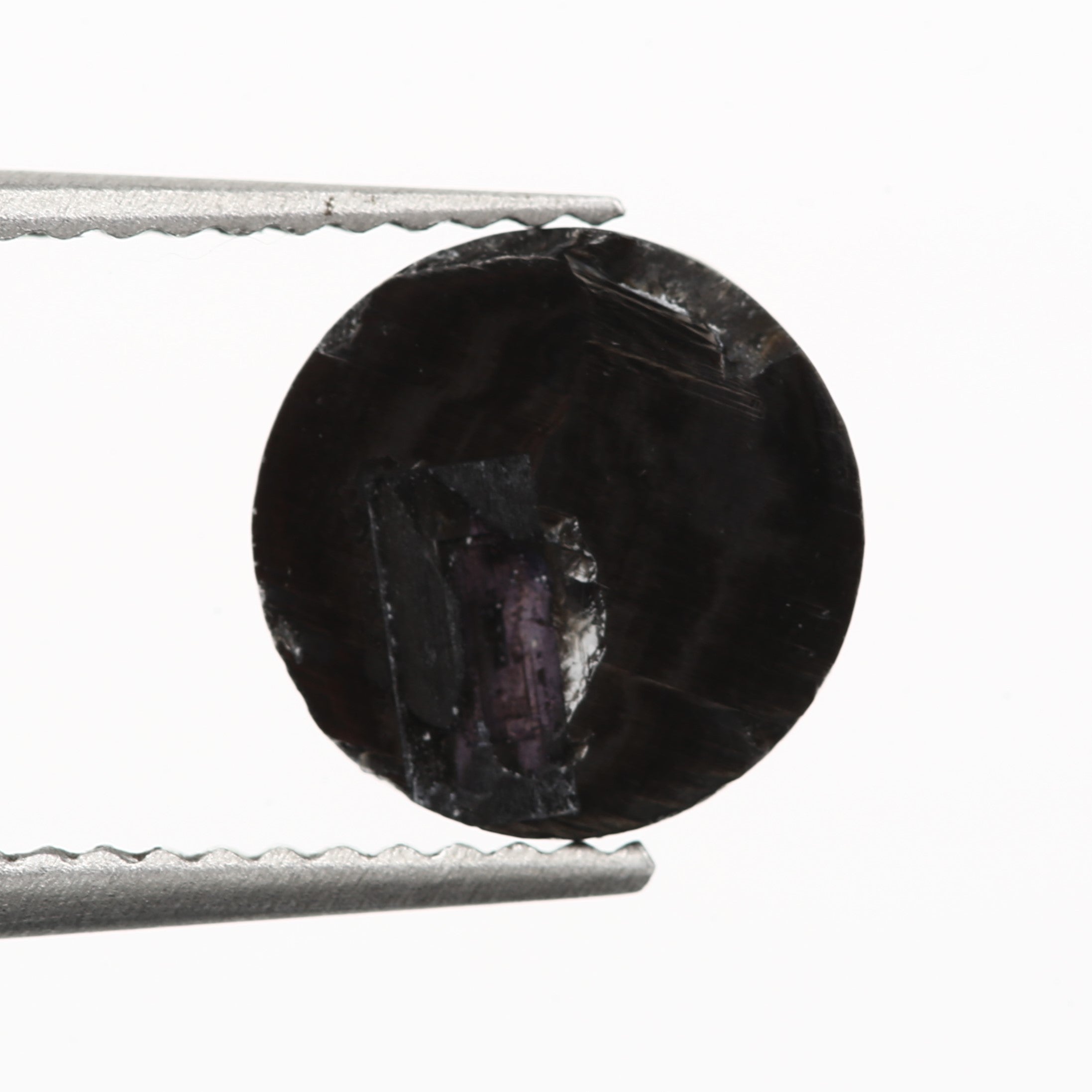 ClariOLED Transparent OLED Display price