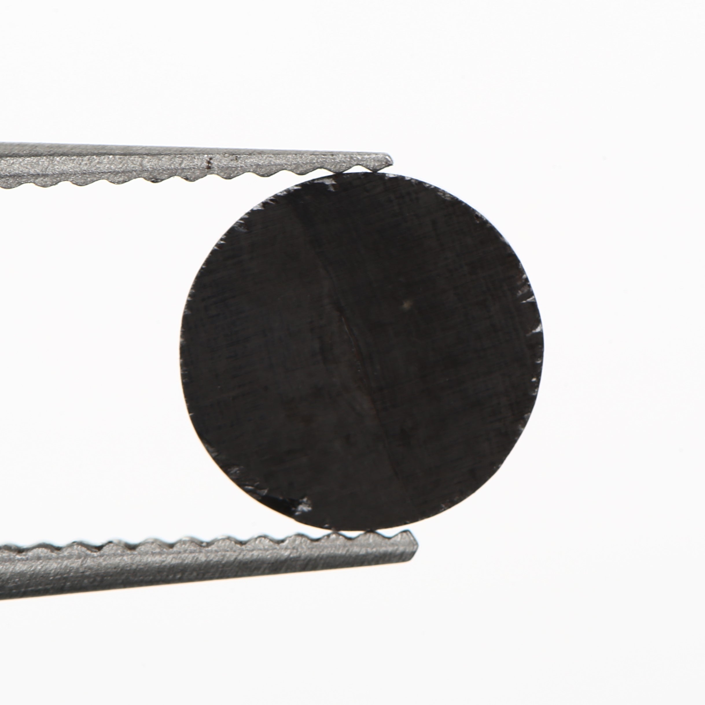 ClariOLED Transparent OLED Display price